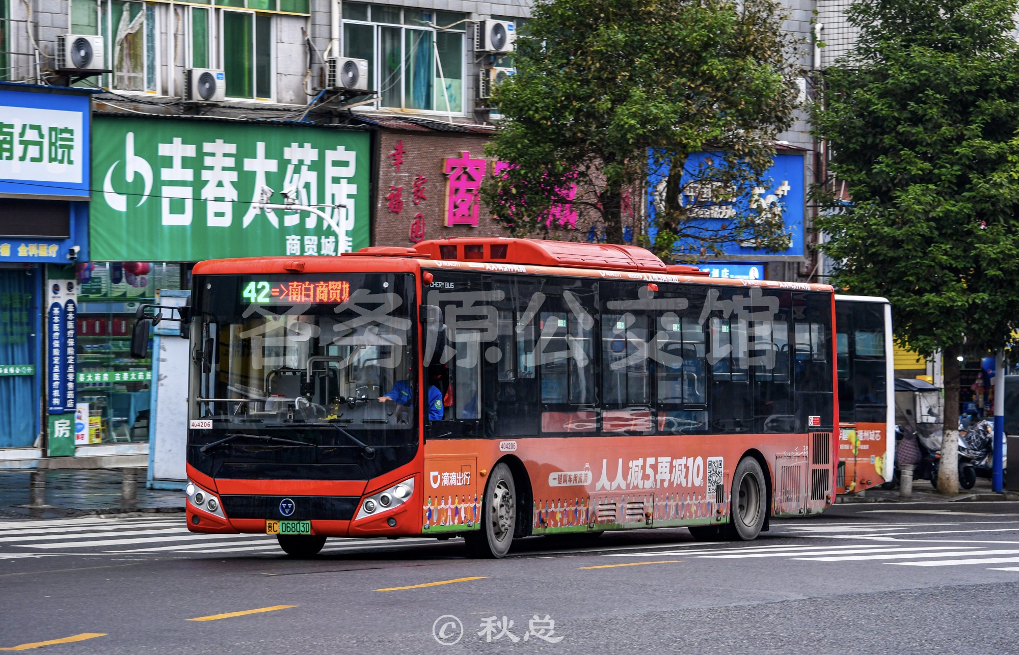 WD6105BEVG13图片