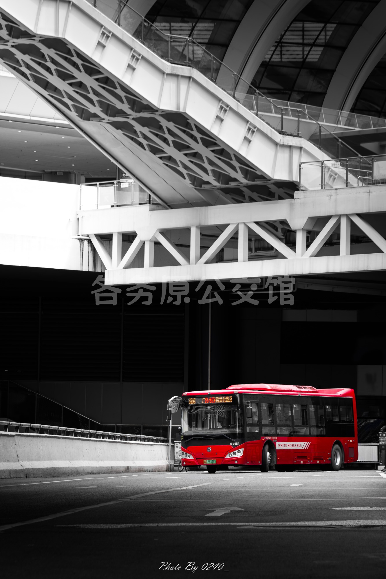 热门图片
