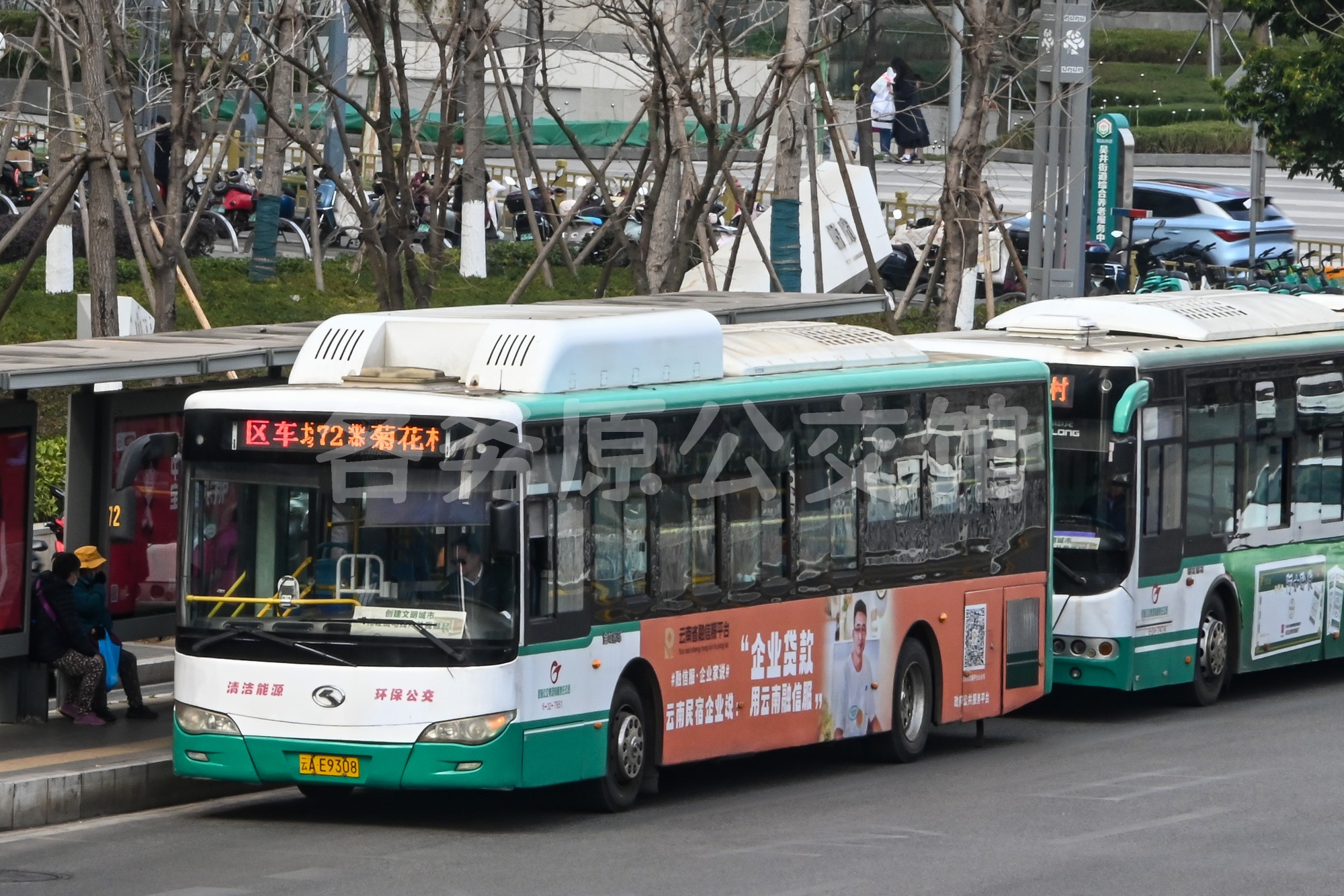 热门图片