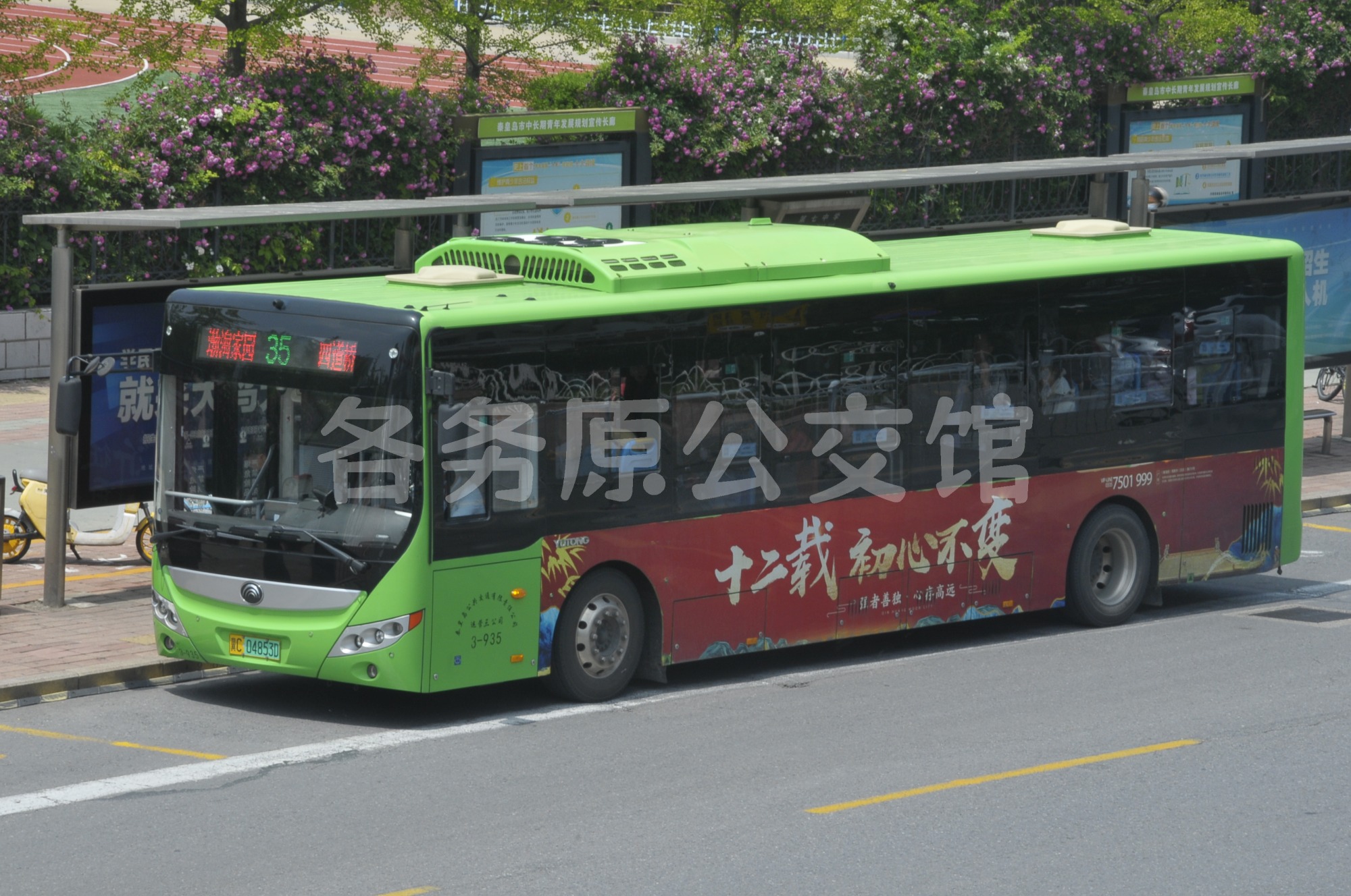 热门图片