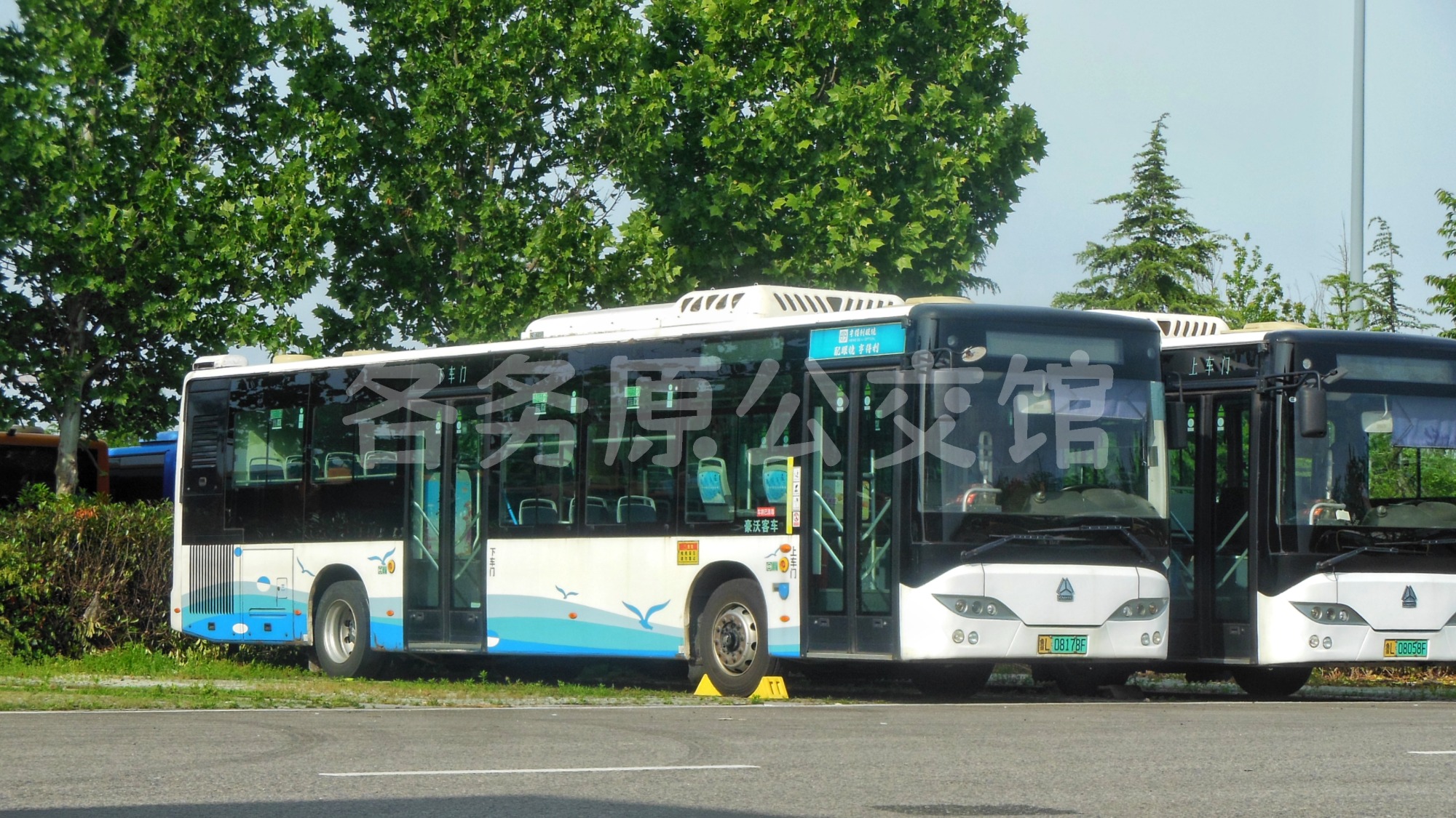 未命名图片