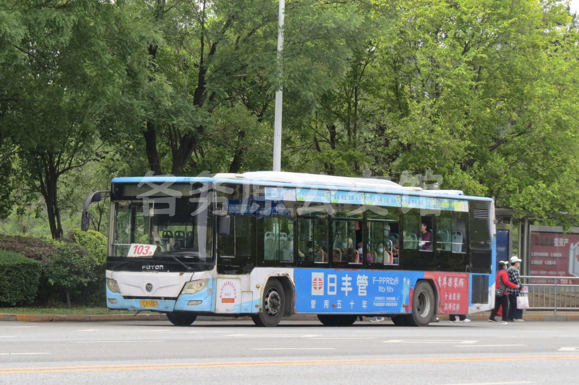 图片