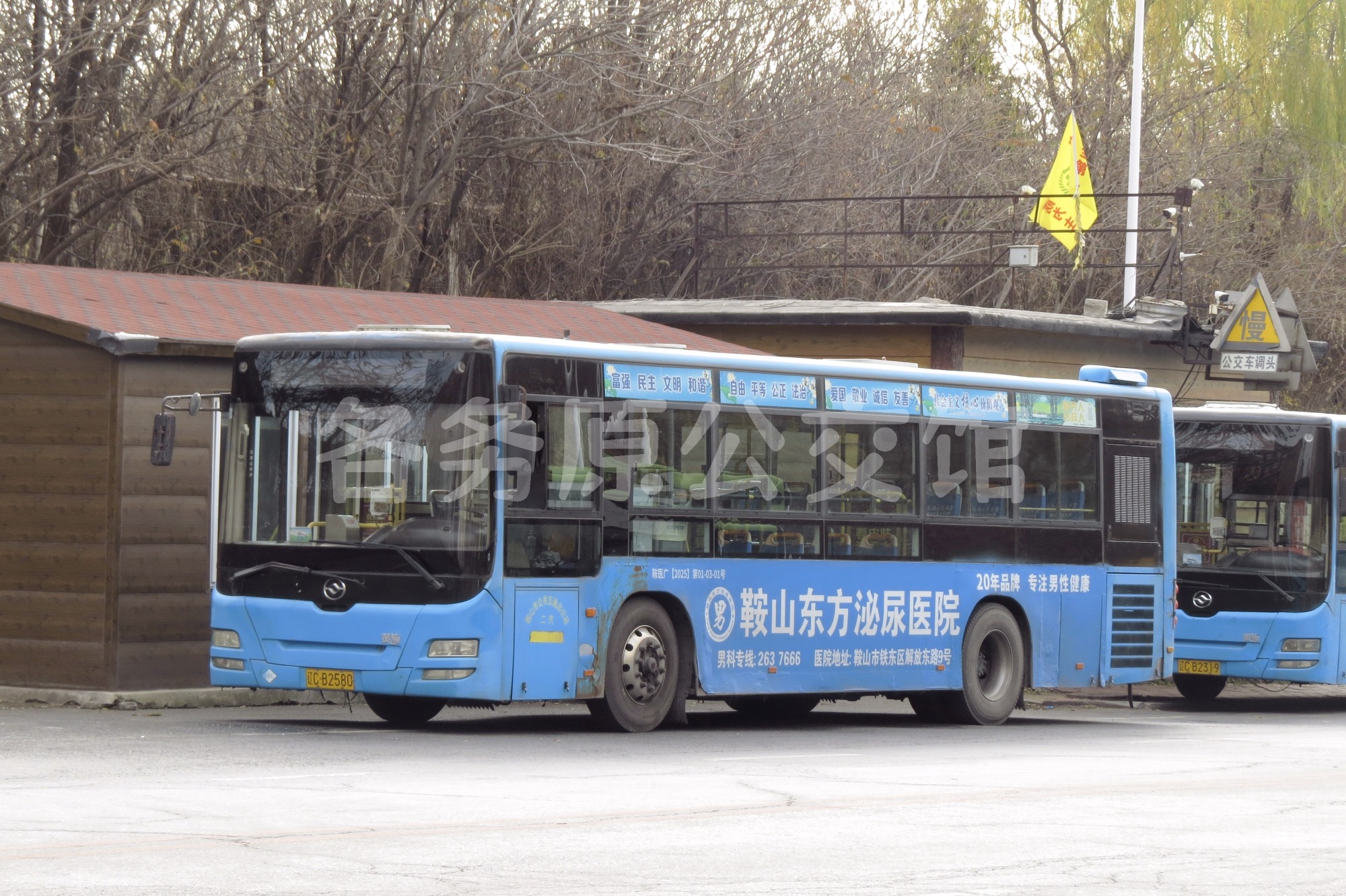 40381