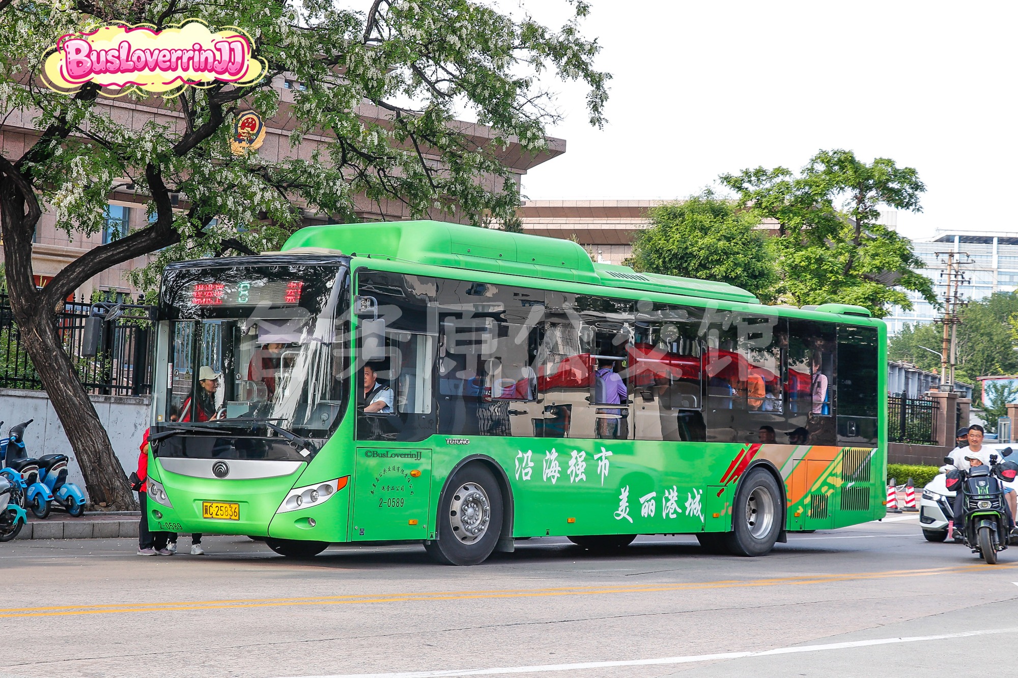 ZK6105CHEVPG21图片