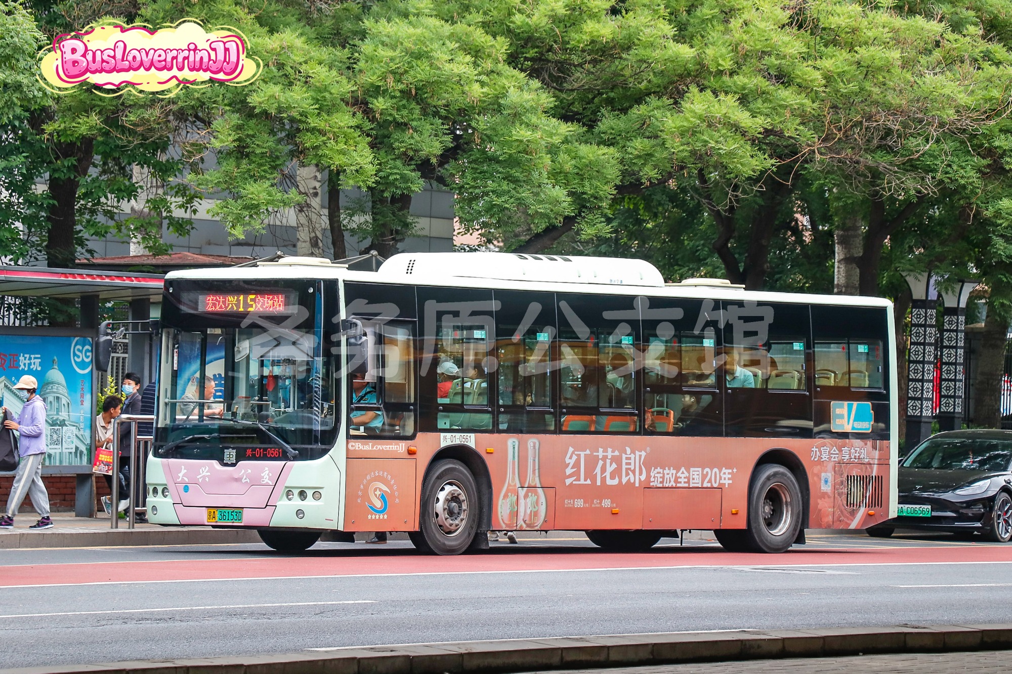 兴顺达客运 - TEG6105BEV09