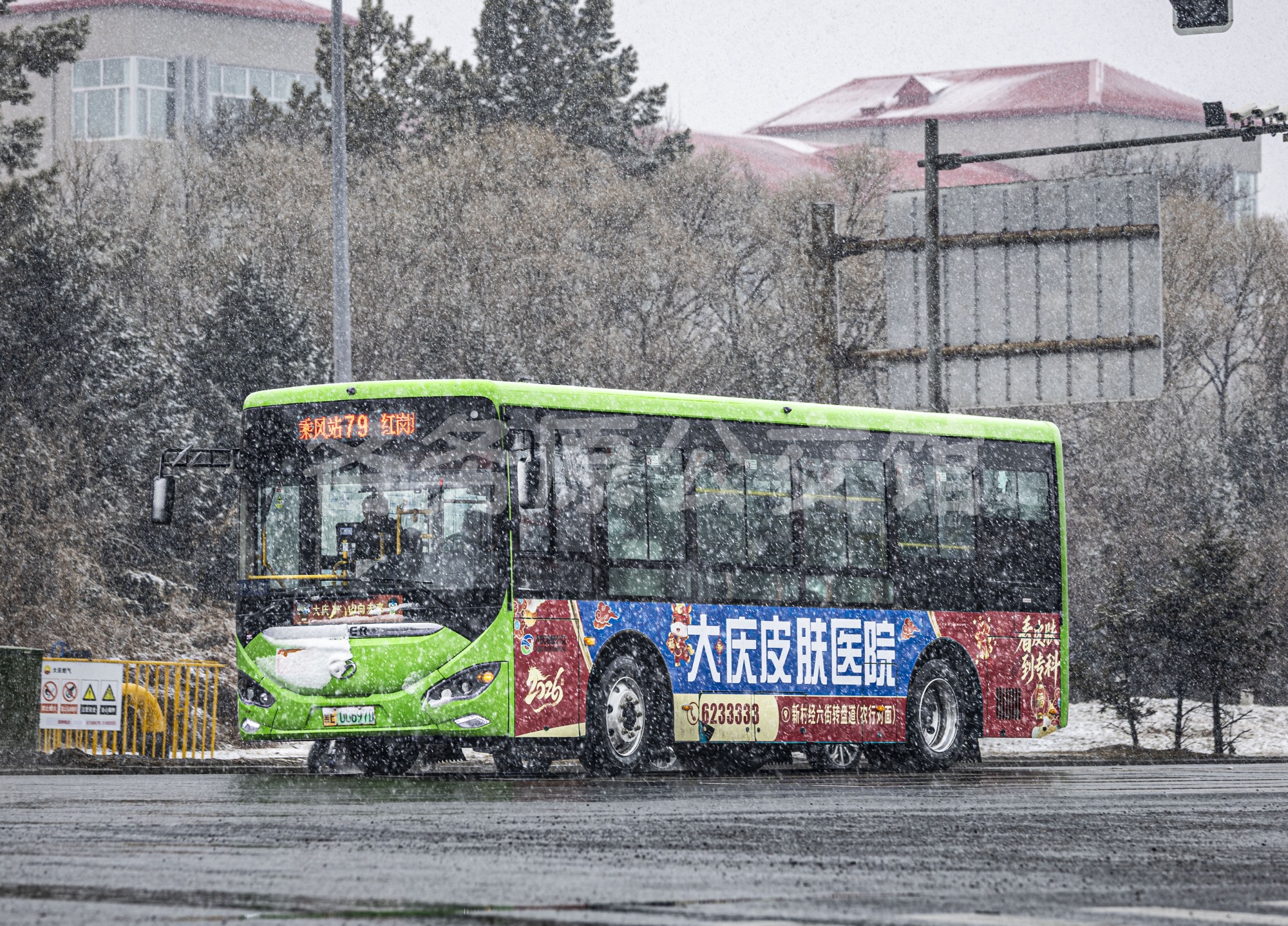 未命名图片