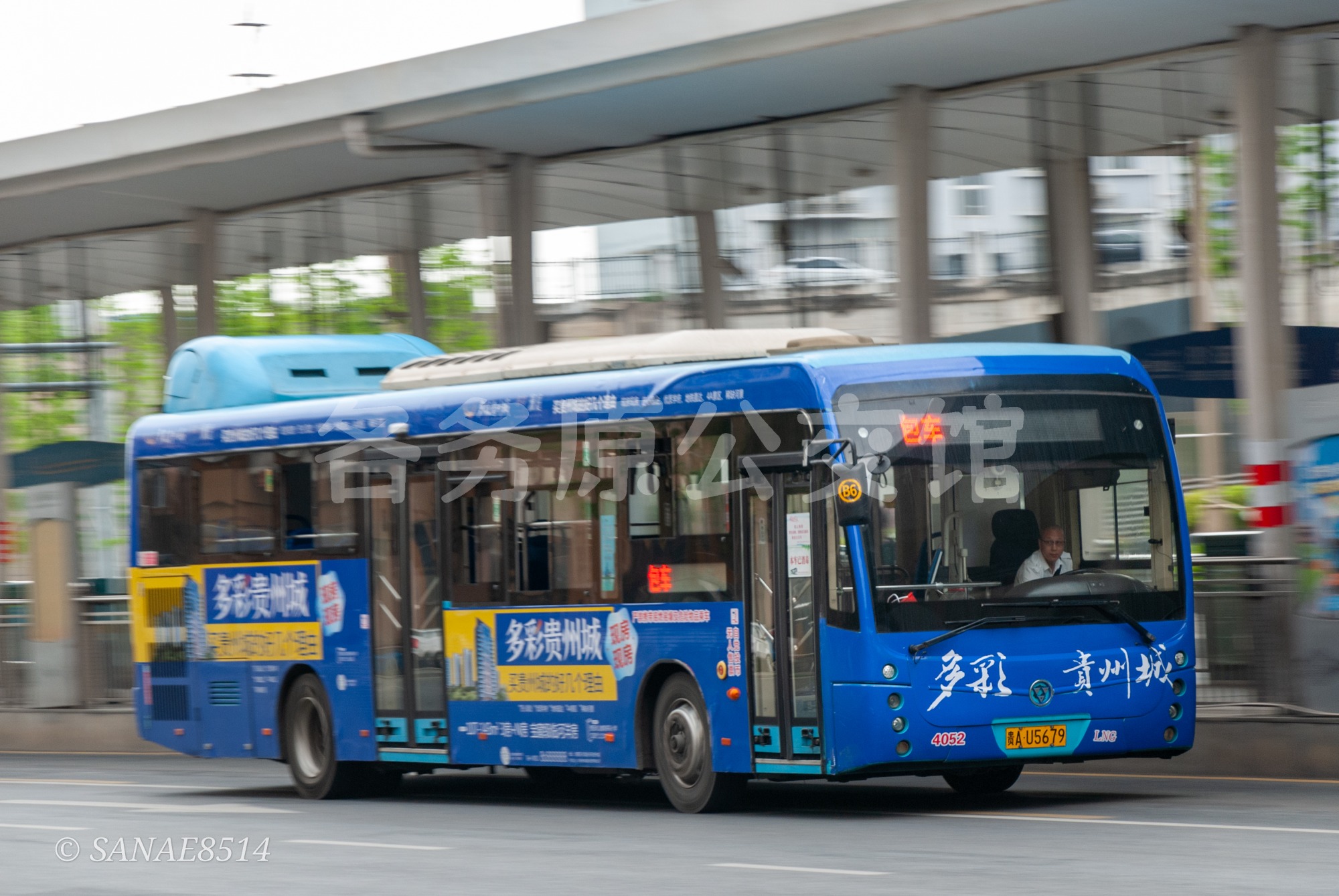 未命名图片