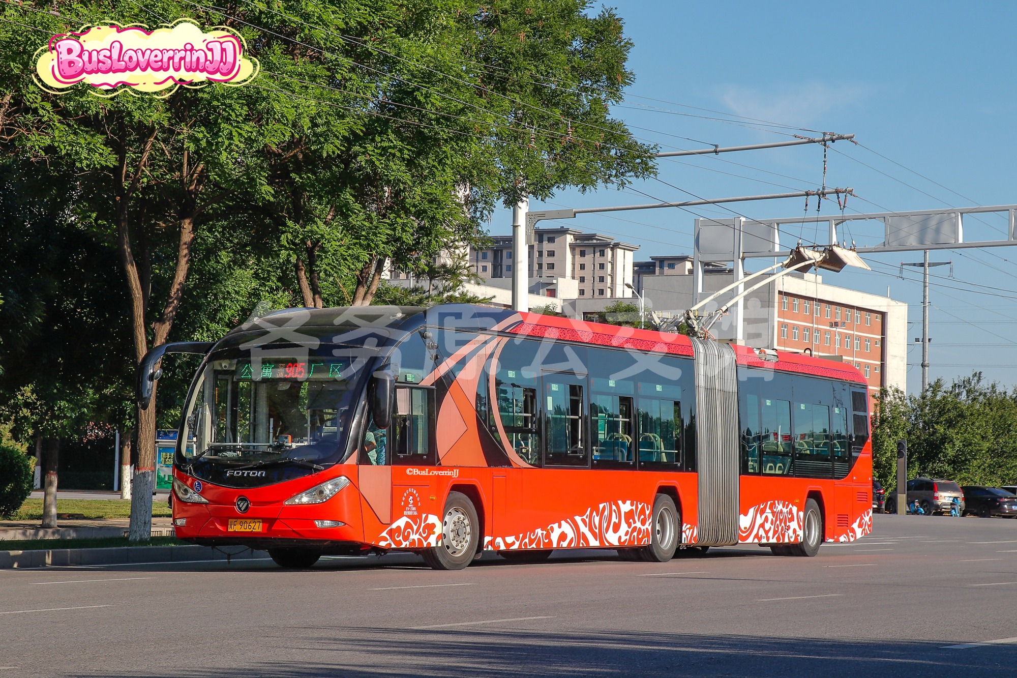 905路【EV-2385】（原色）