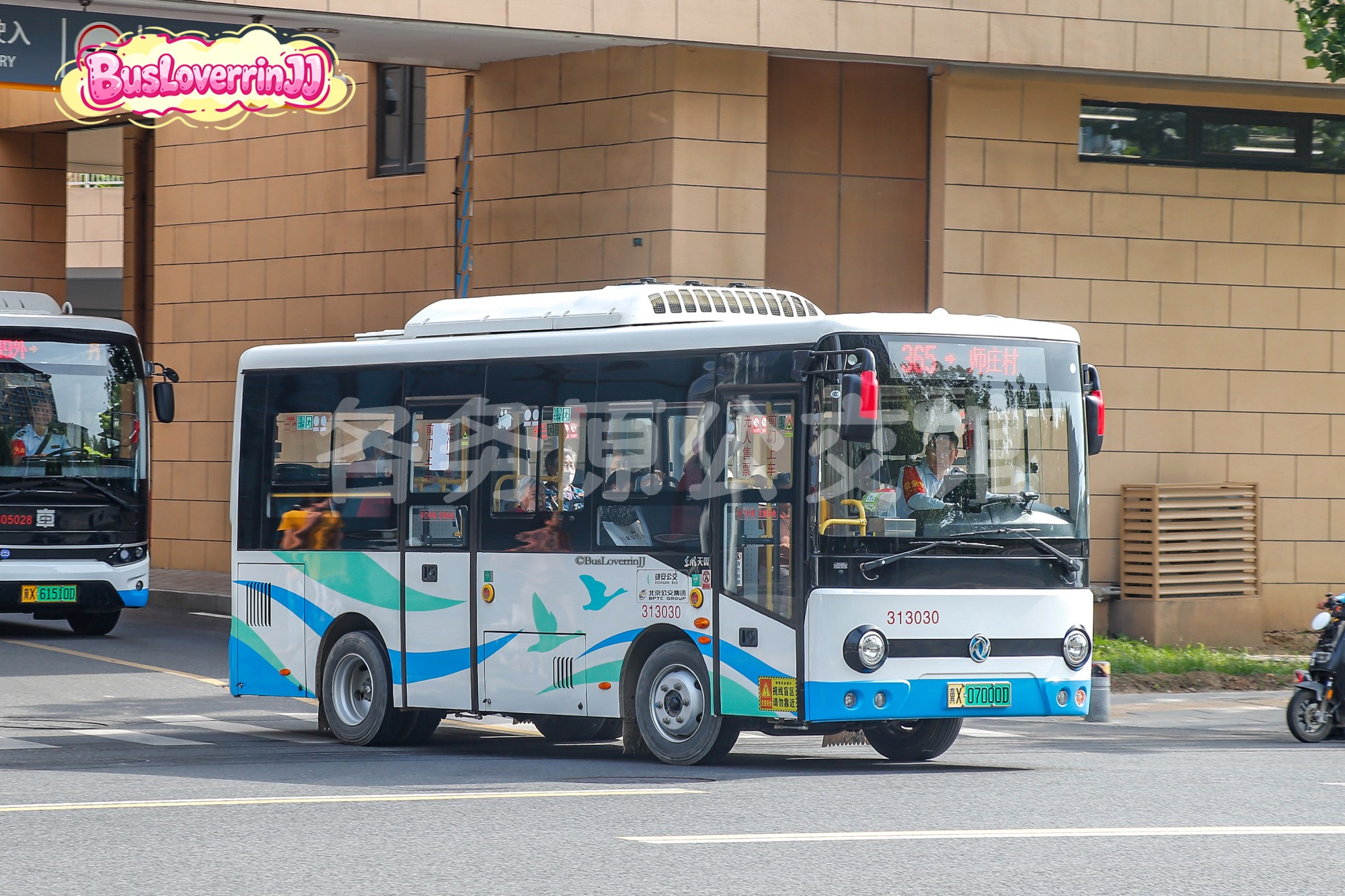 365路【313030】（原色）