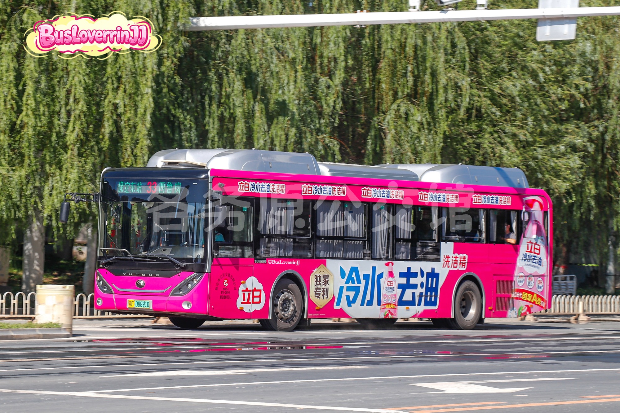 33路【EV-2614】（立白-[独家专利 冷水去油洗洁精]）