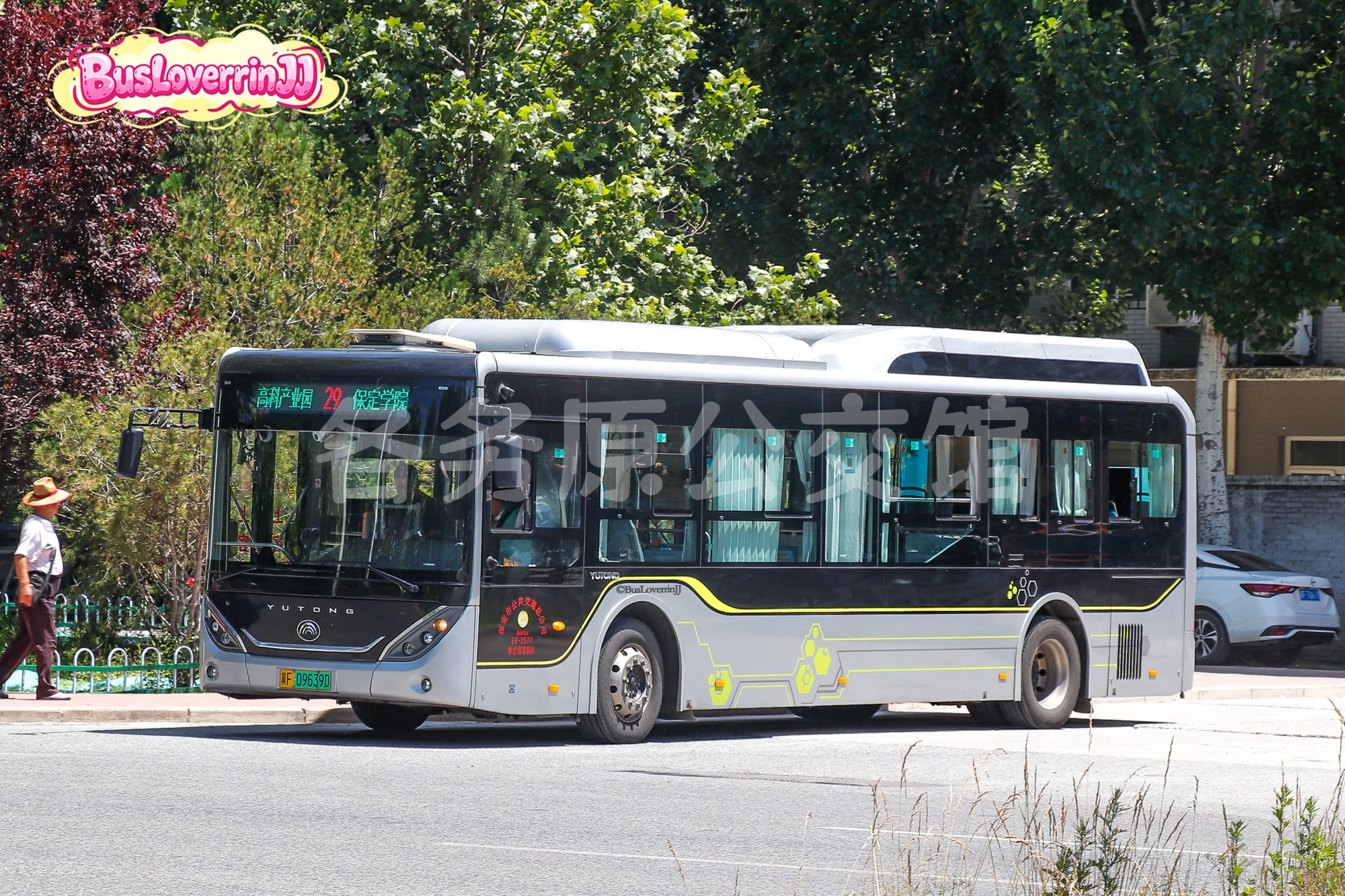 29路【EV-2577 原2路】（原色）