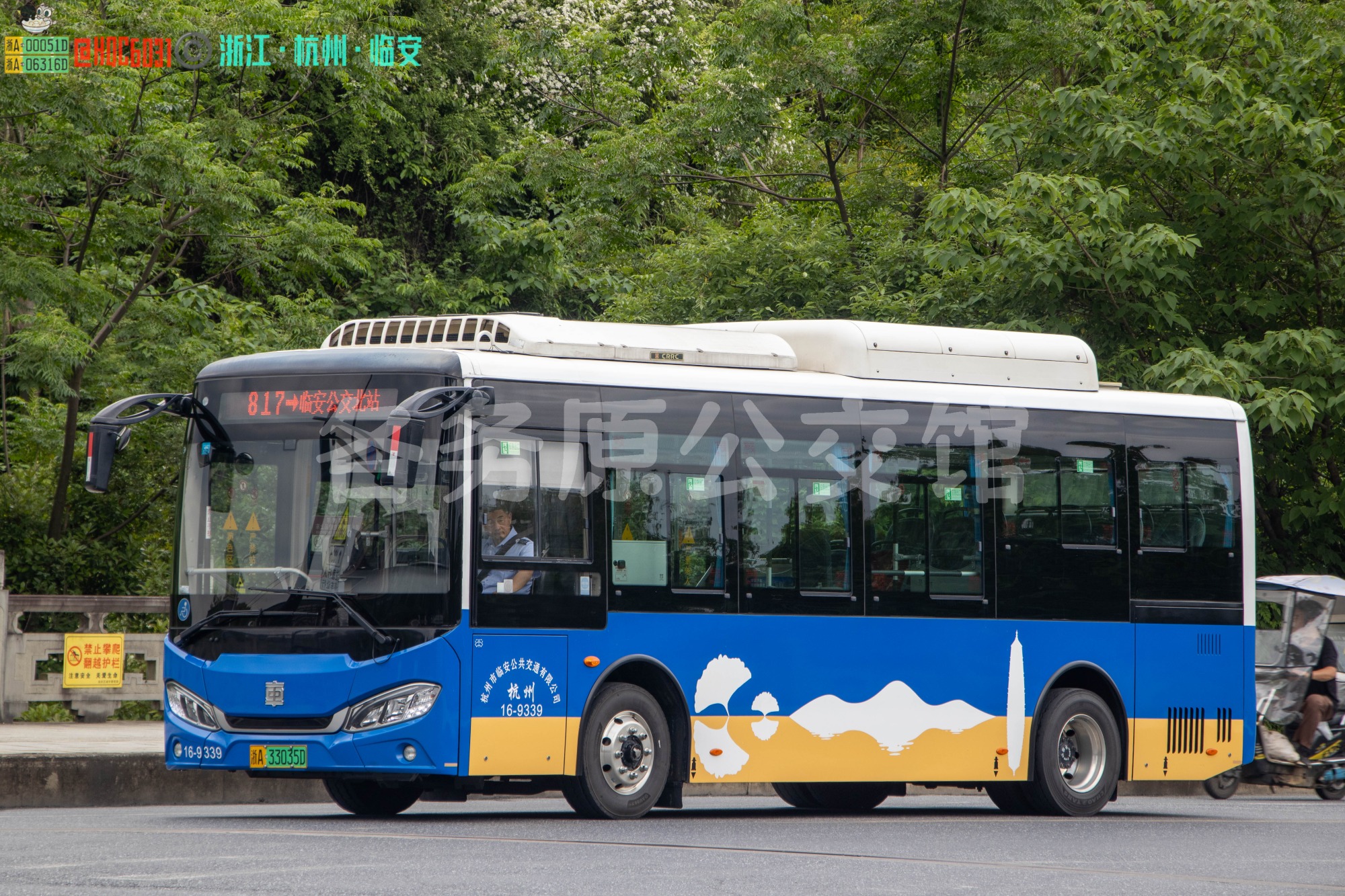 临安公交 - TEG6853BEV05