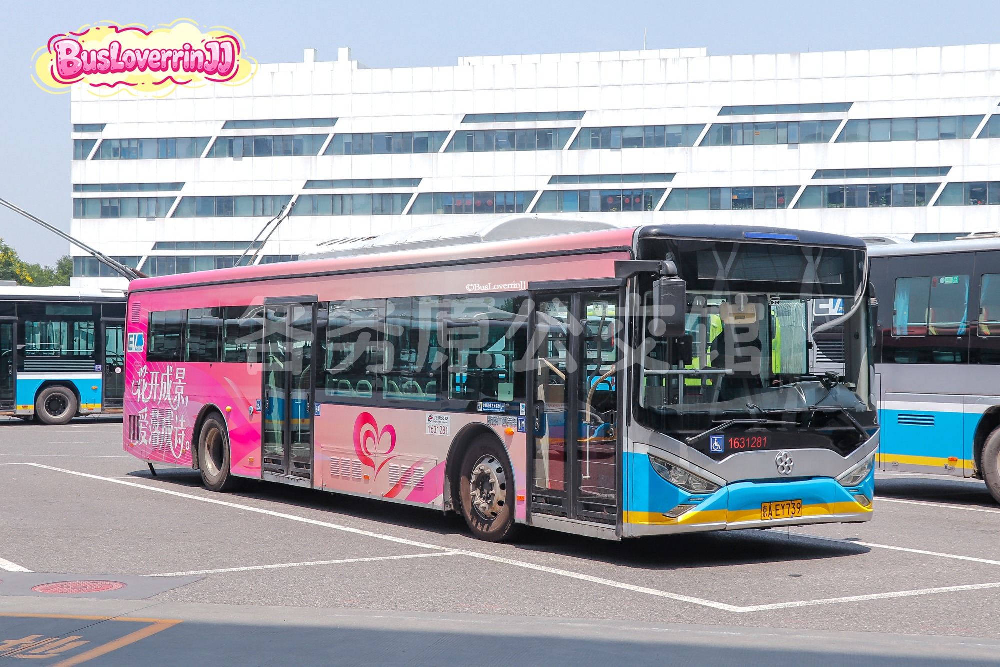 停班车【31281 原520路】（520专属痛车-[花开成景，爱落成诗]）