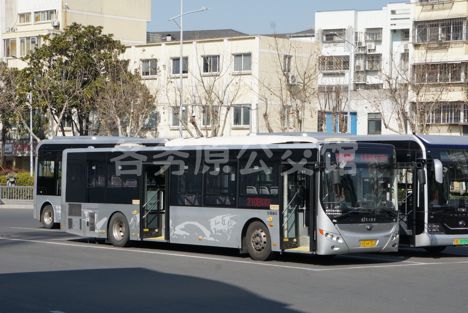 热门图片