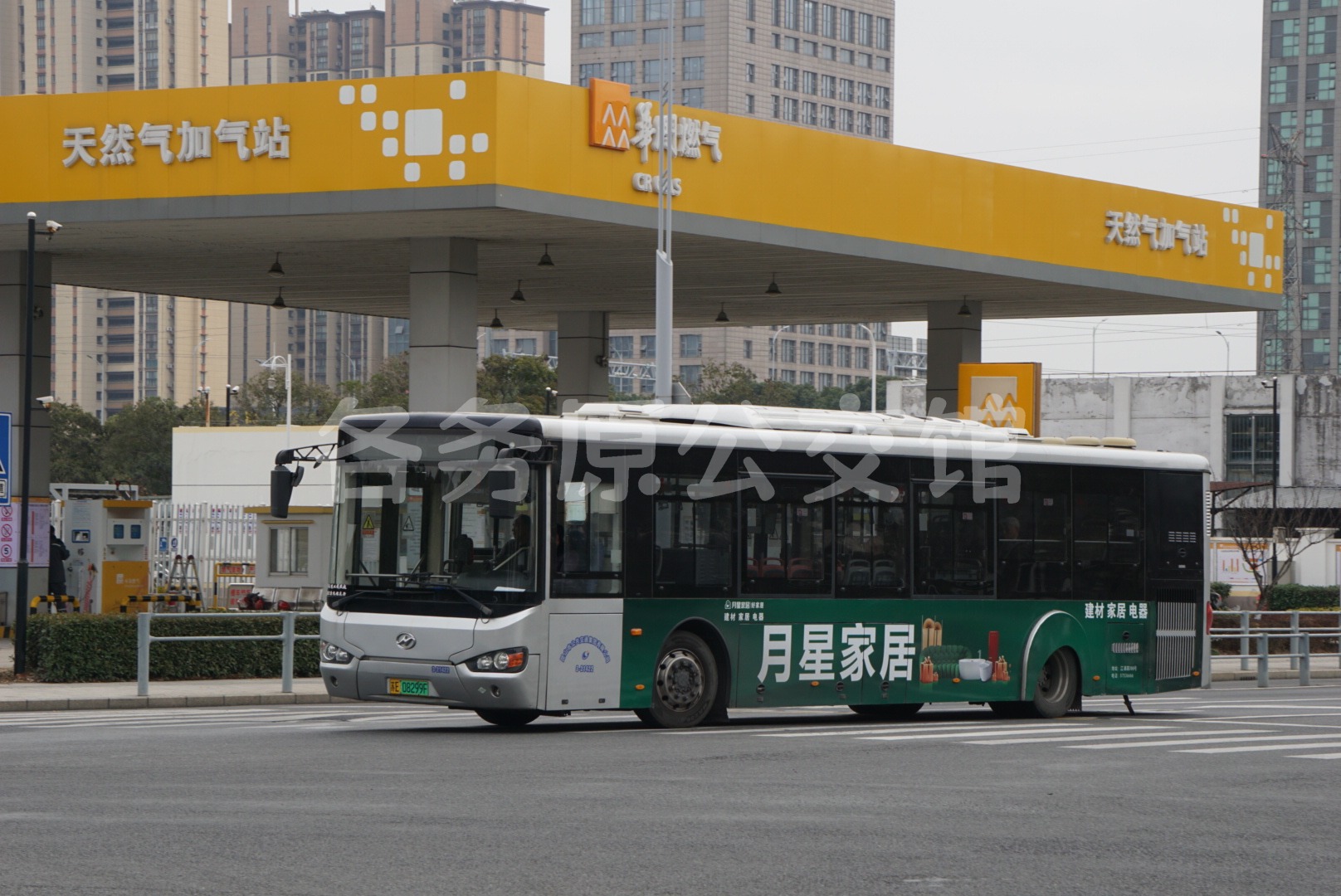 热门图片