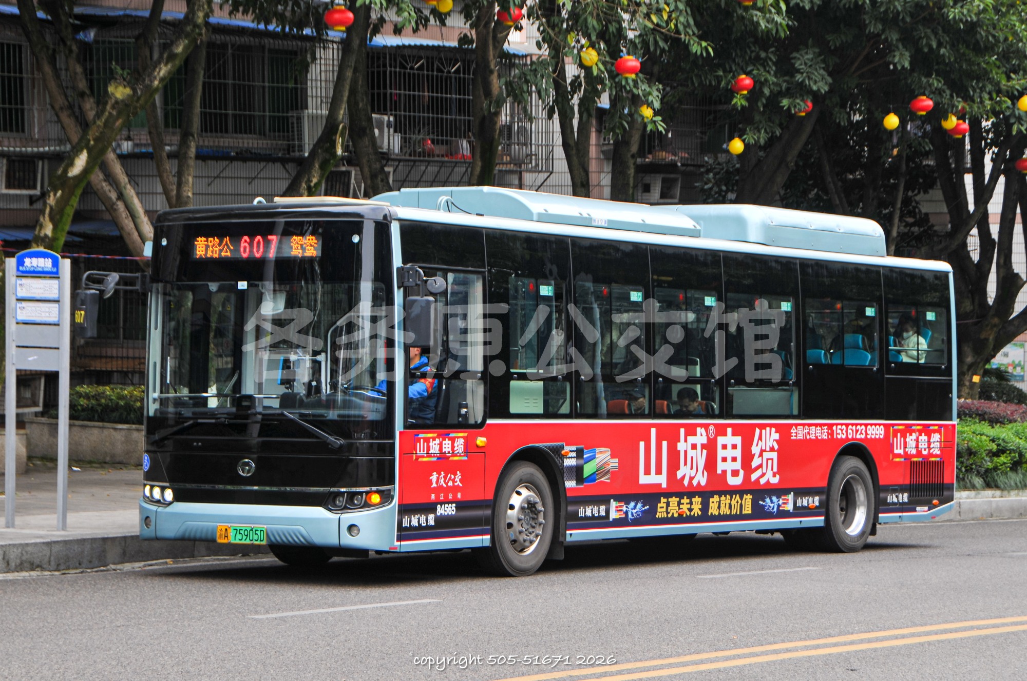 热门图片