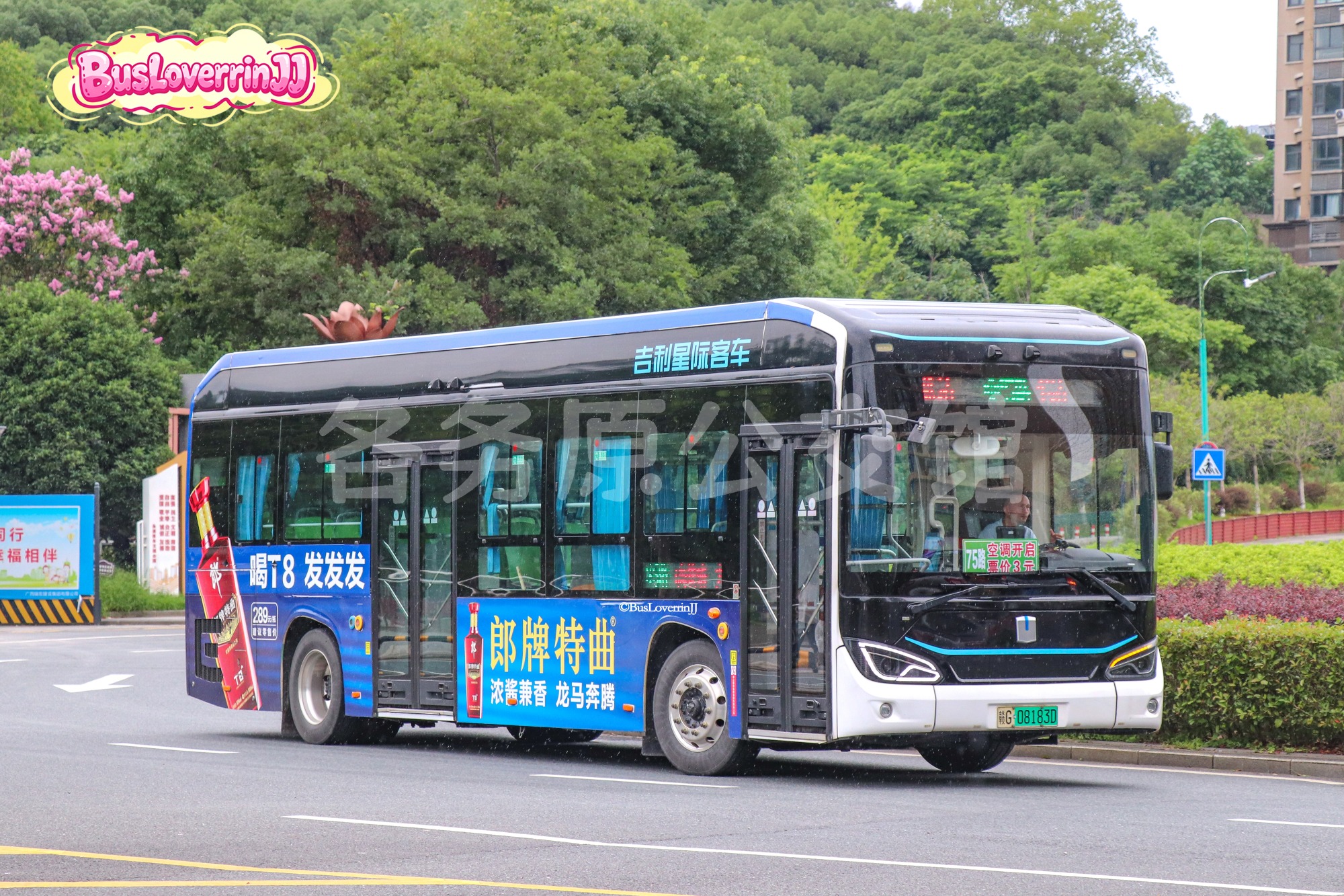 75路【G001】（郎牌特曲-[浓酱兼香 龙马奔腾/喝T8 发发发]）