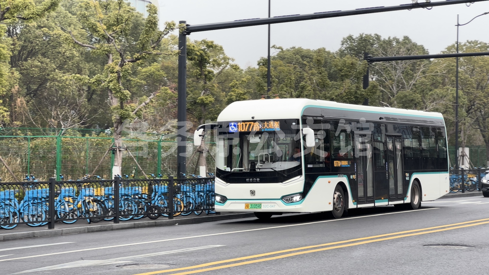 热门图片