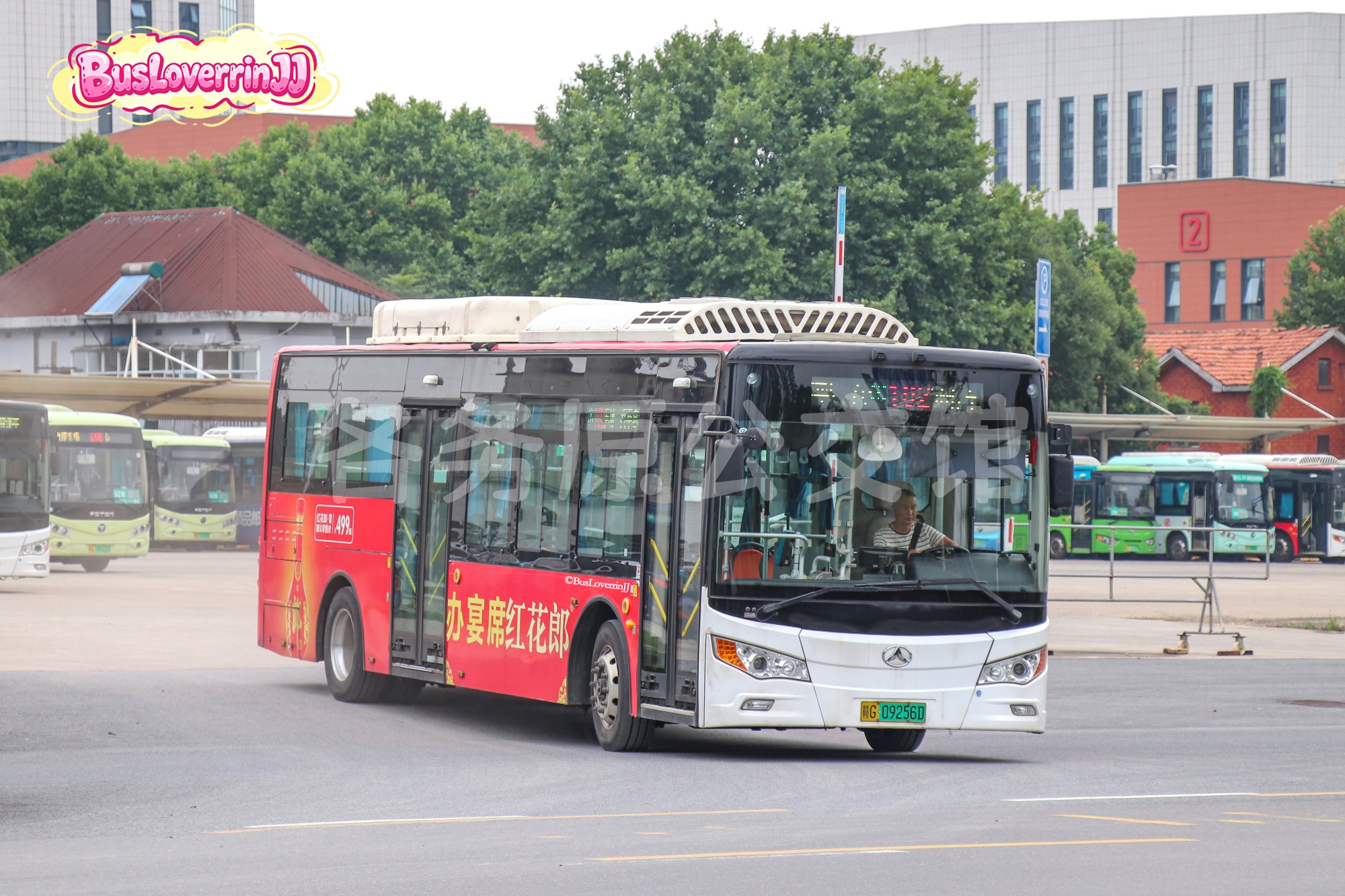 102路【D053】（红花郎-[办宴席 红花郎]）