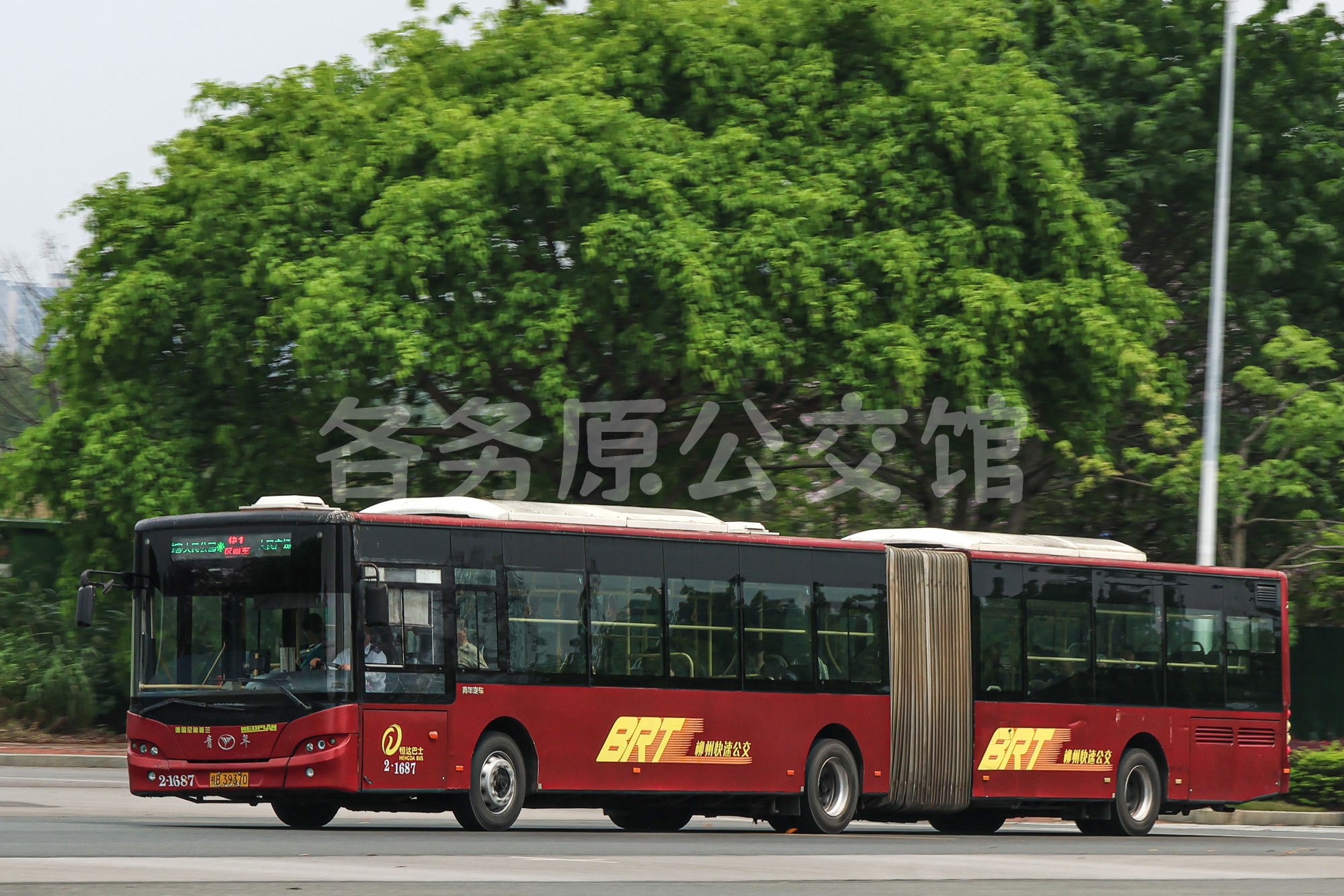 热门图片