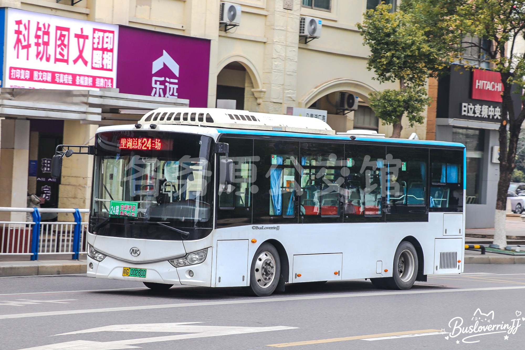 24路【C043】（原色）