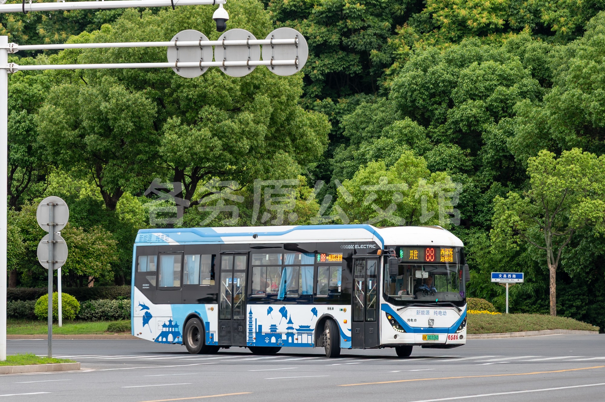 热门图片
