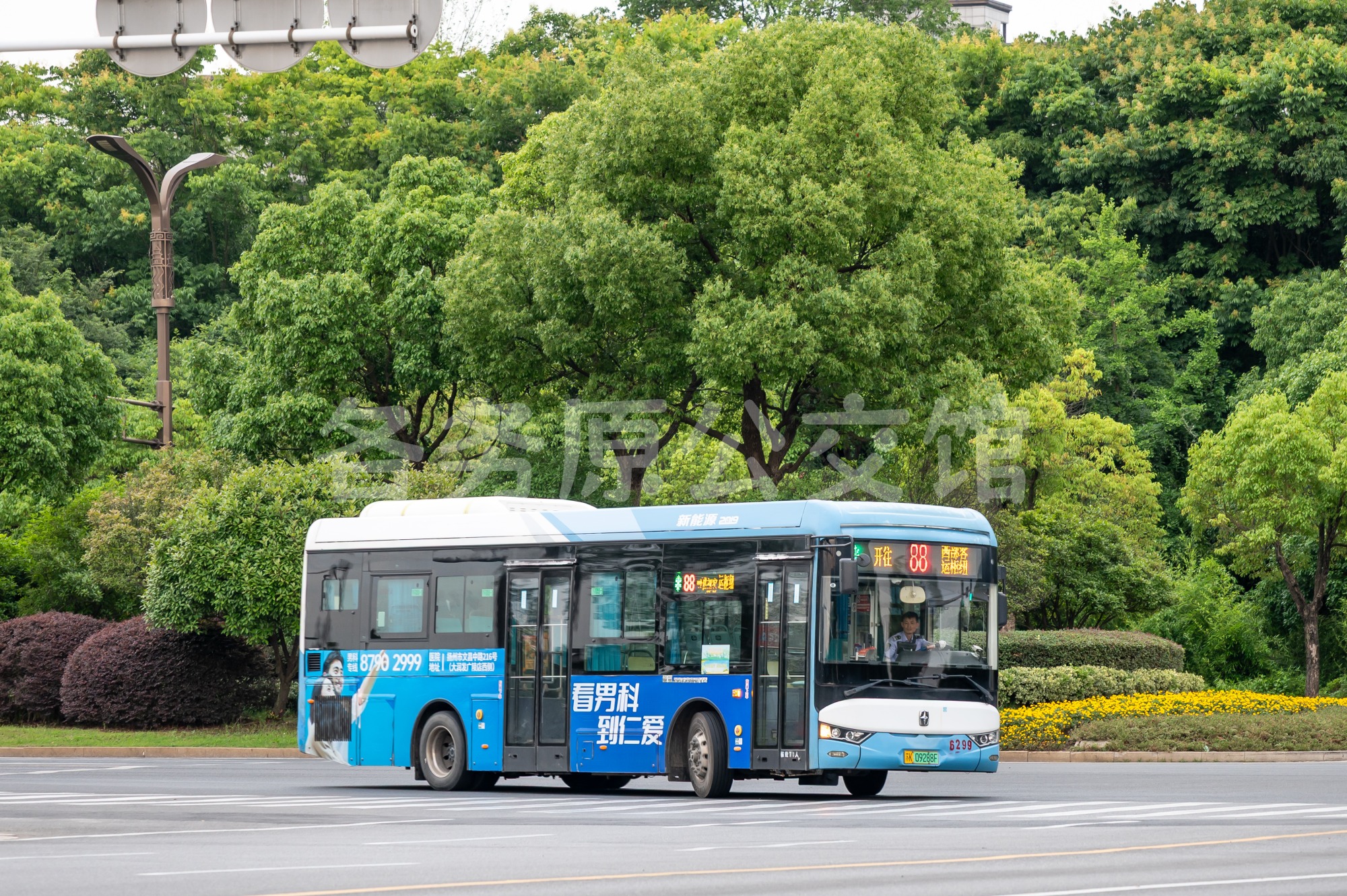 热门图片
