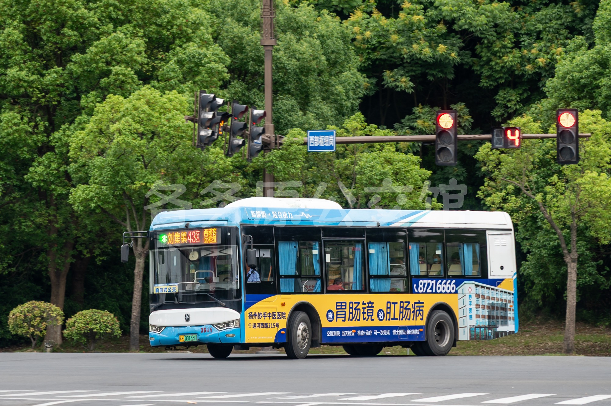 热门图片