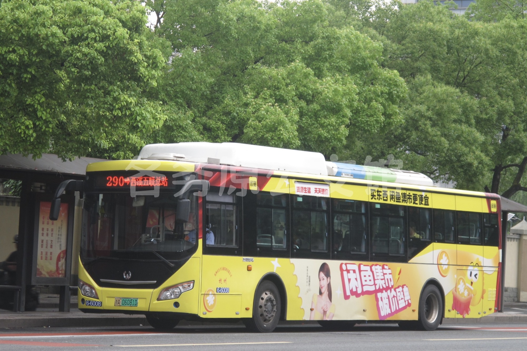 热门图片