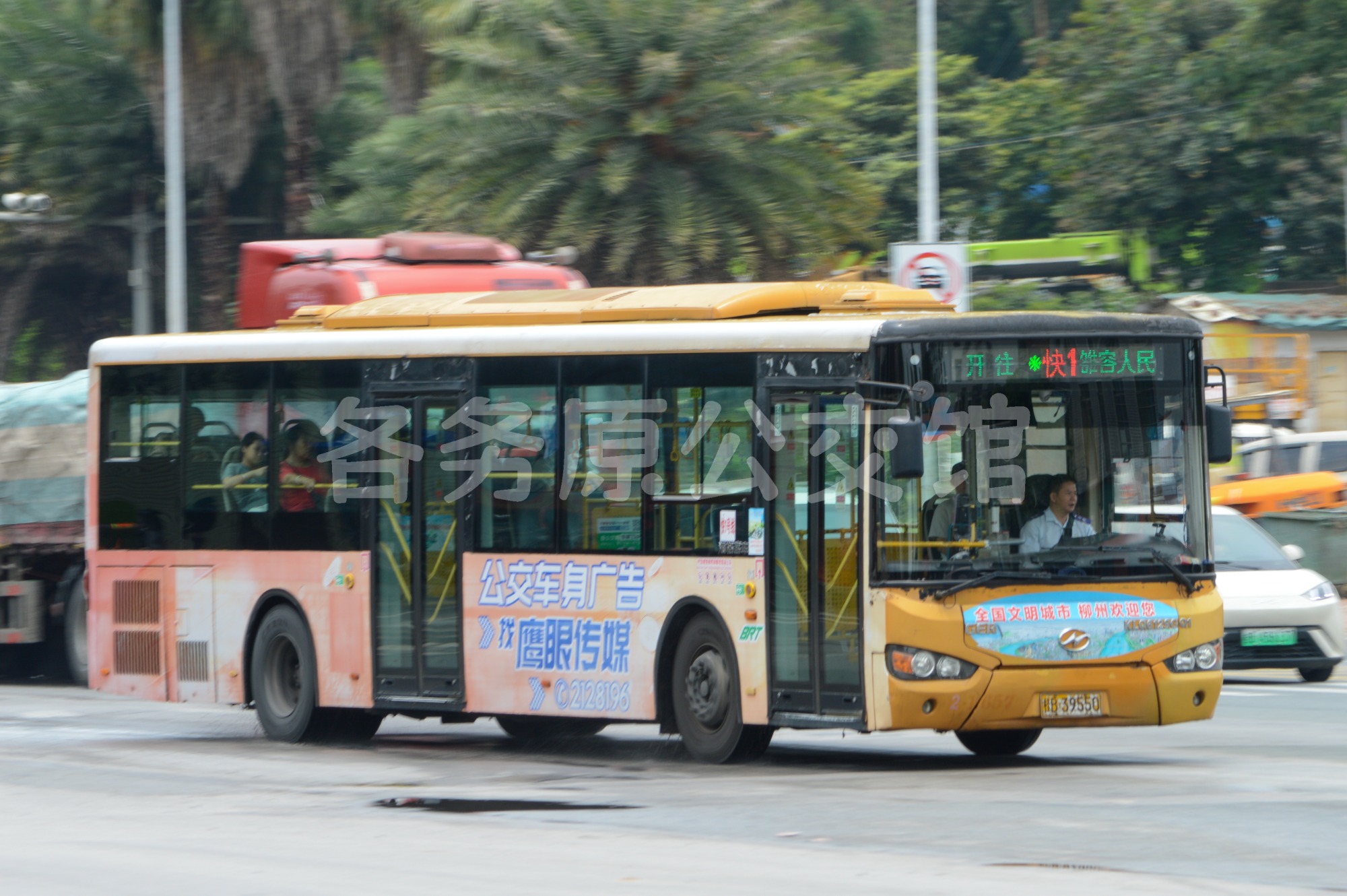 热门图片