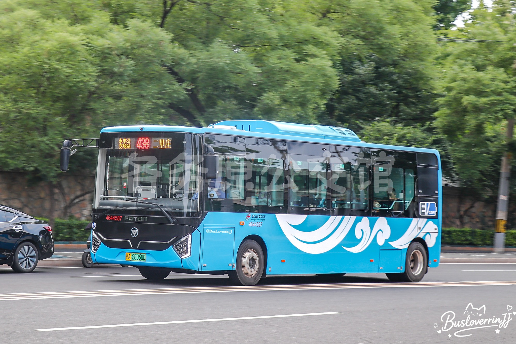 438路【44587】（原色）