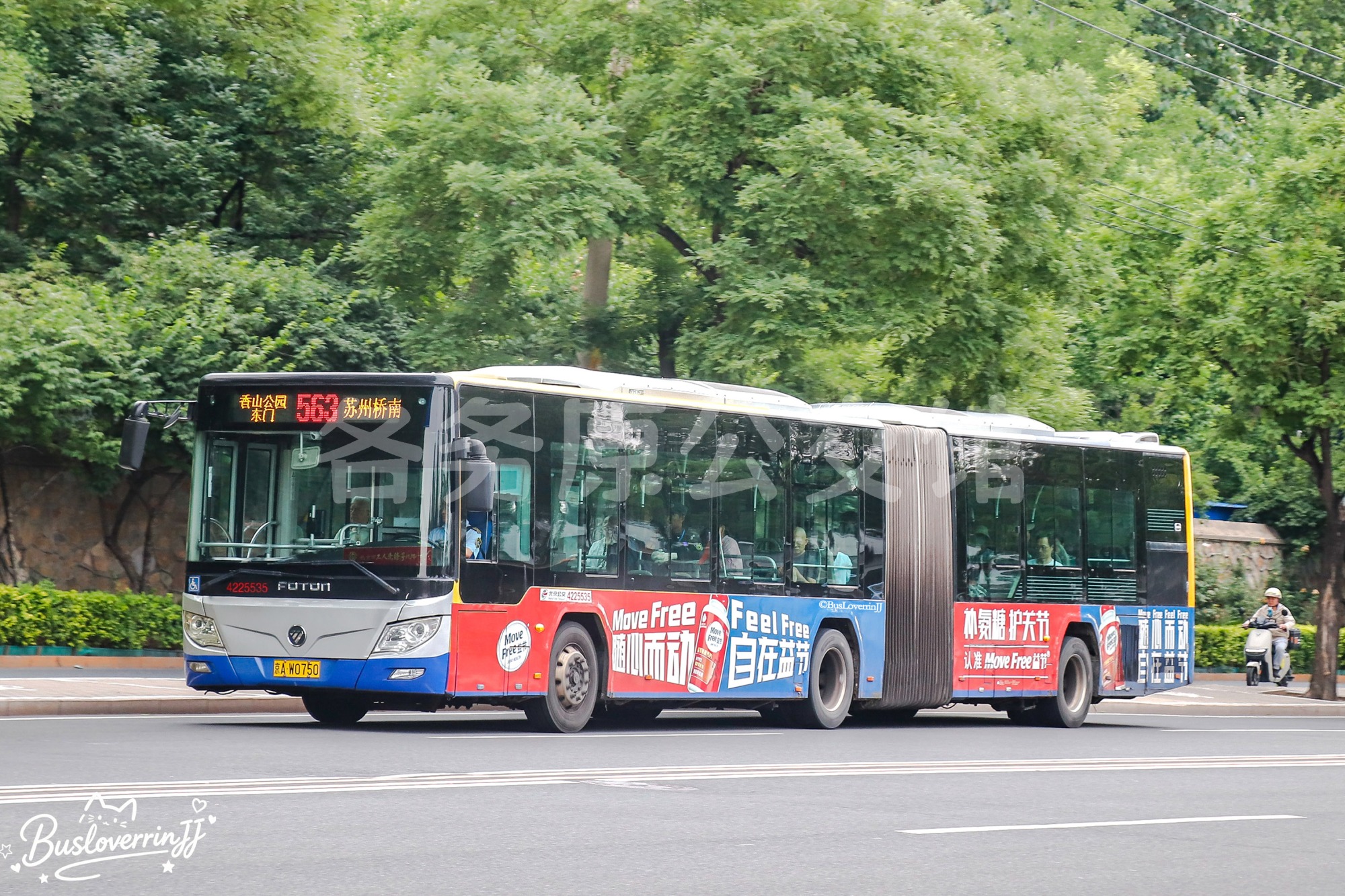 563路【25535】（益节-[Move Free Feel Free/随心而动 自在益节/补氨糖 护关节 认准Move Free益节]）