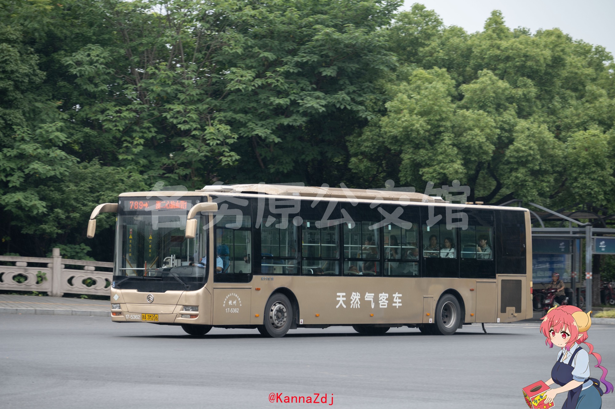 热门图片