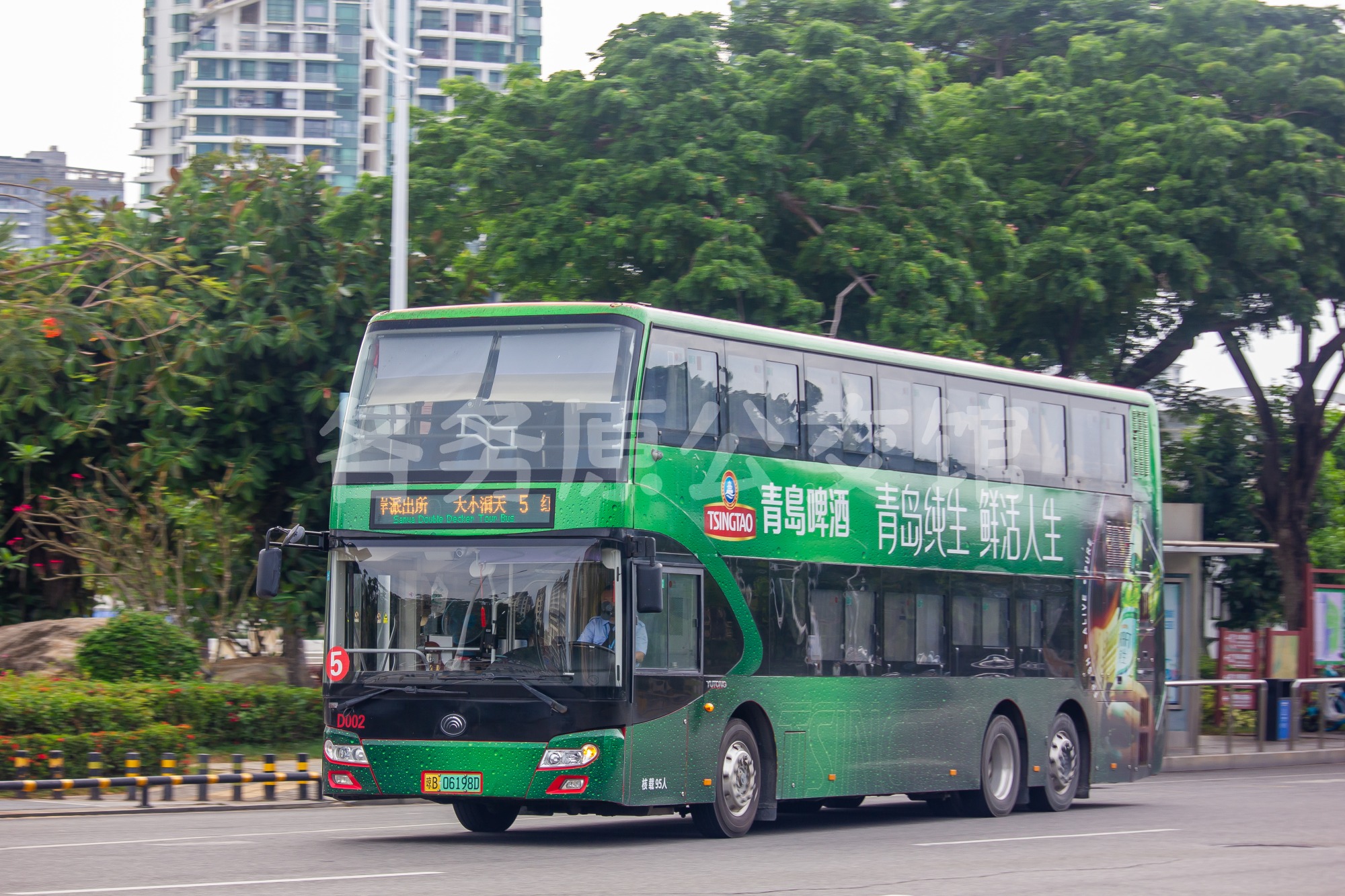 热门图片
