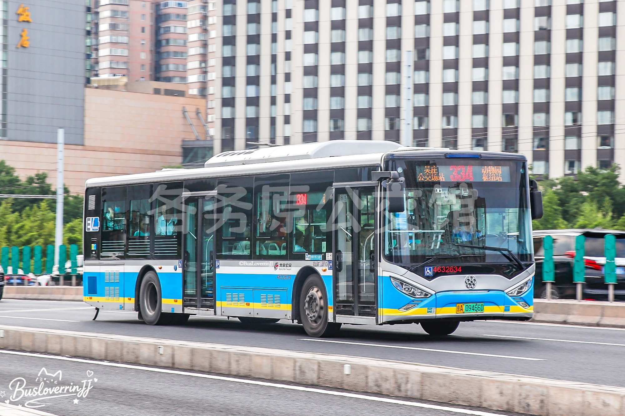 334路【32634】（原色）
