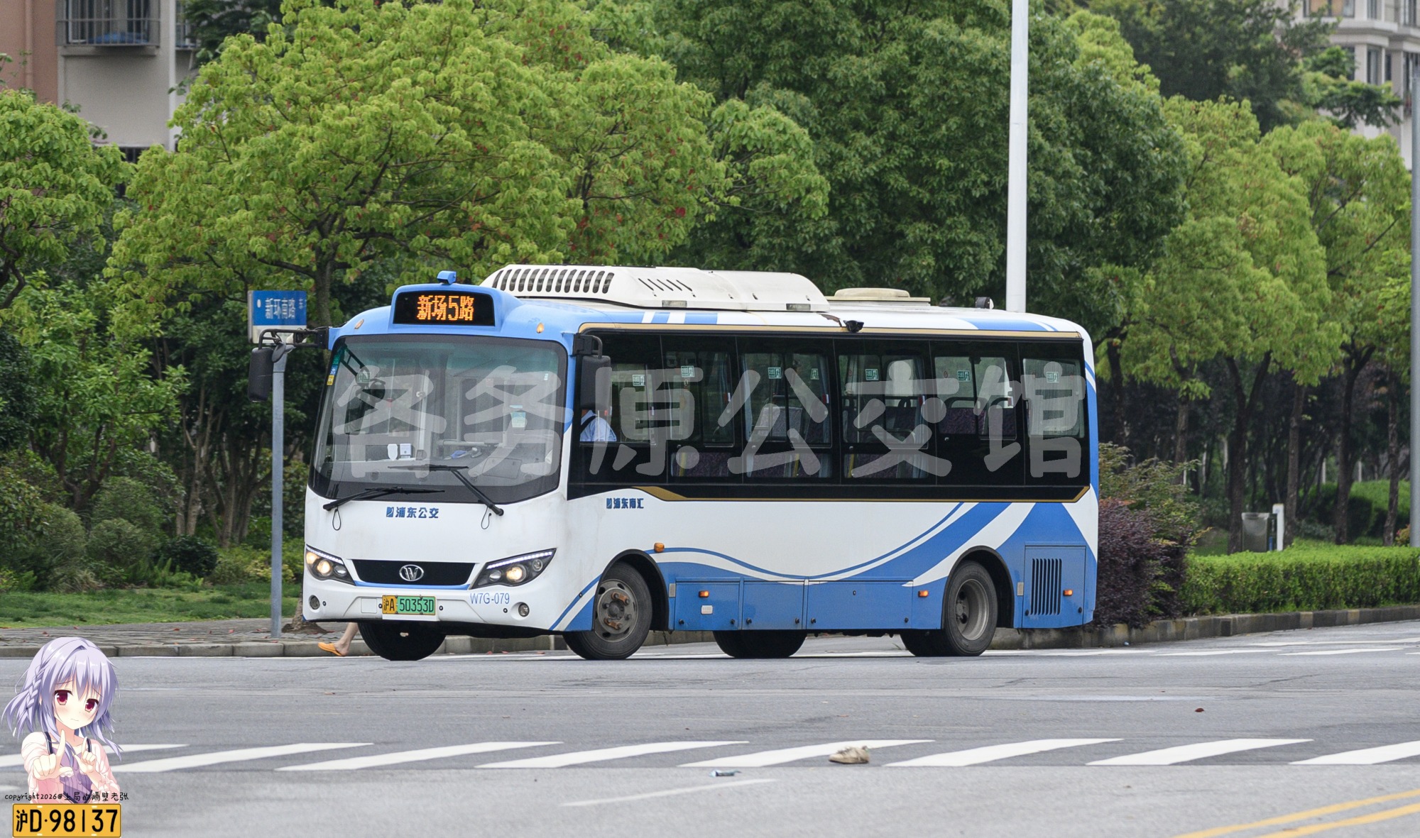 热门图片