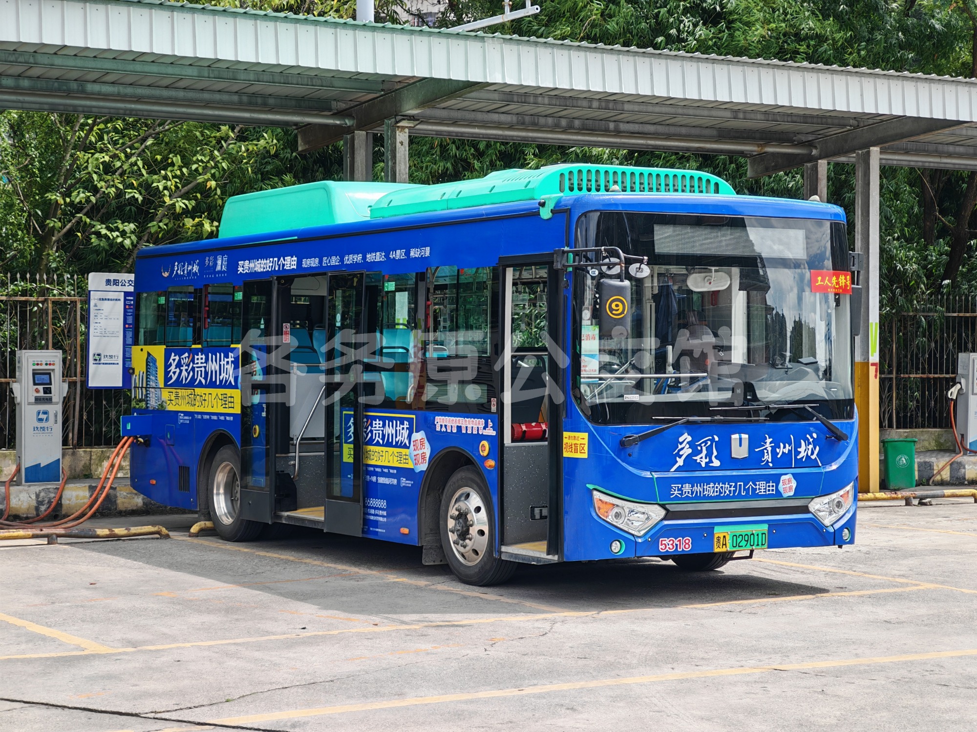 DNC6850BEVG4D图片