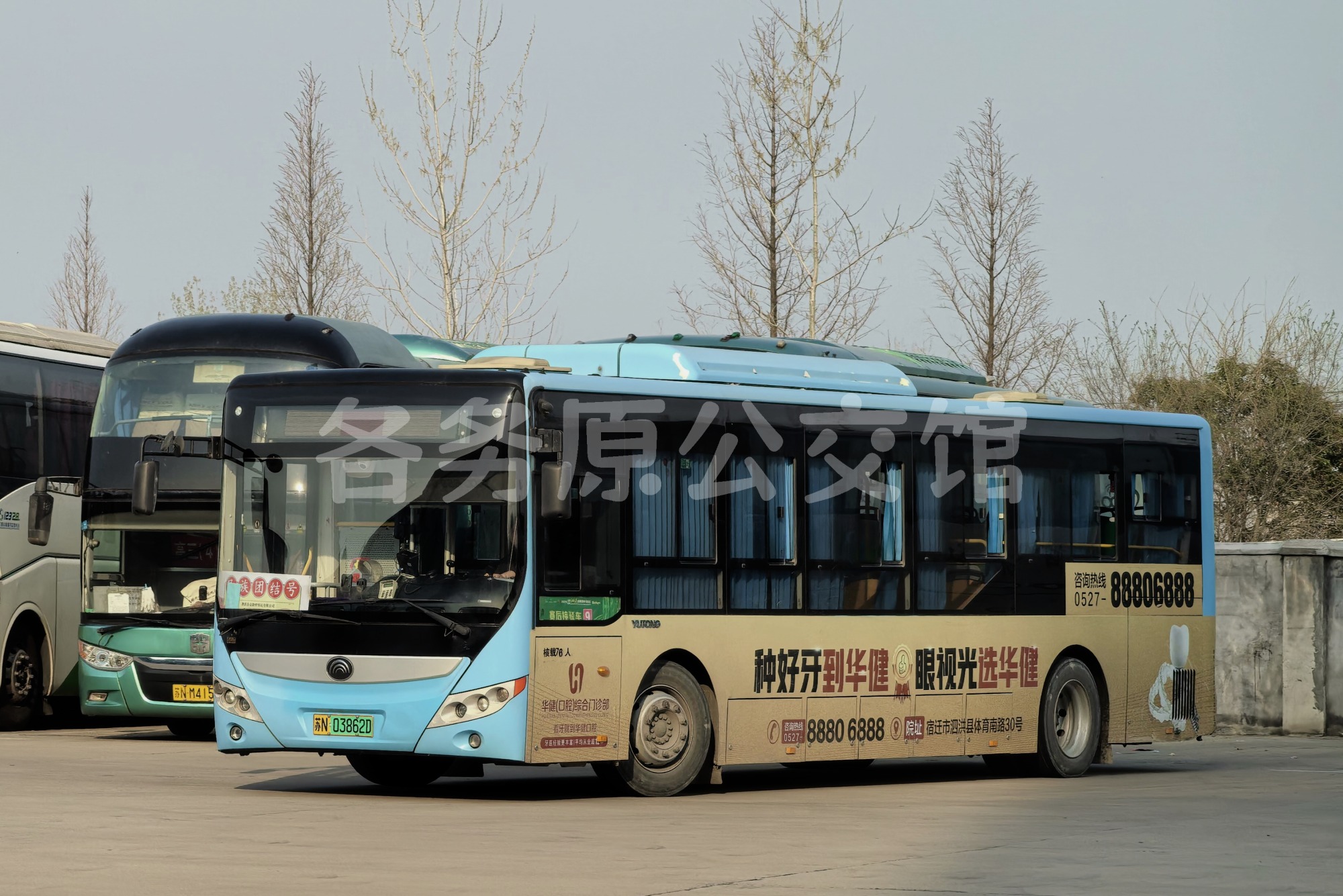 热门图片