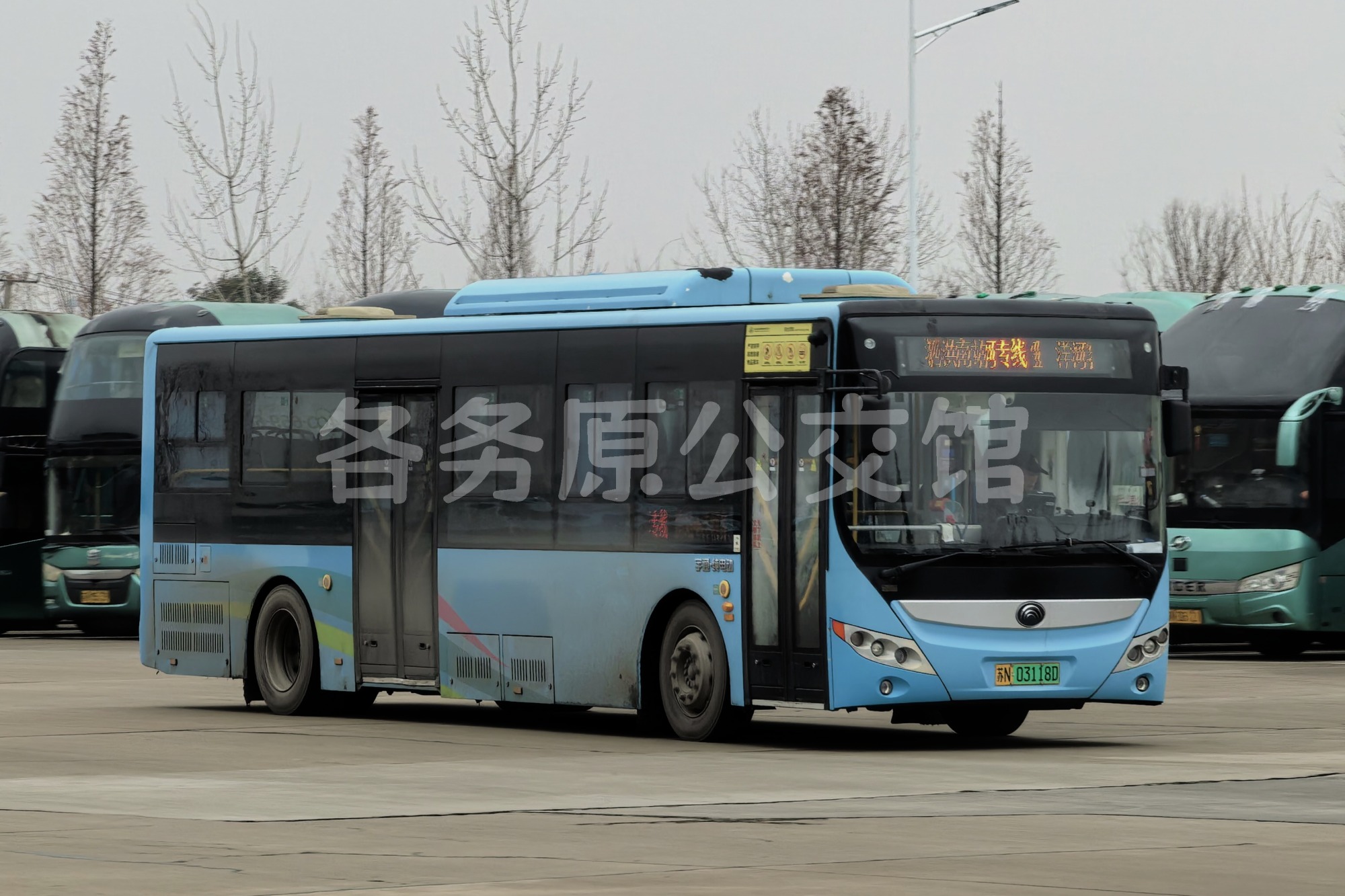 热门图片