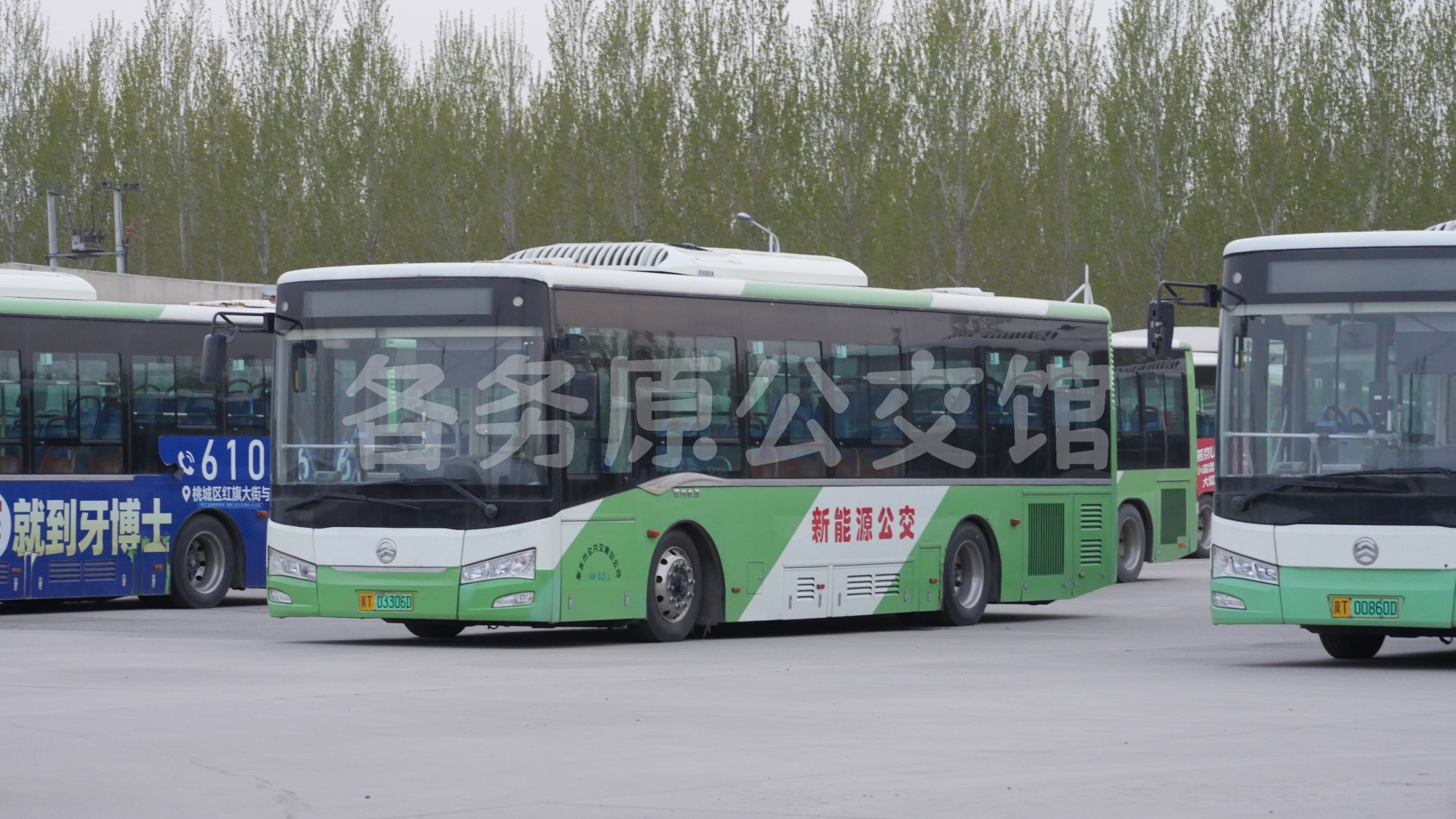 未命名图片