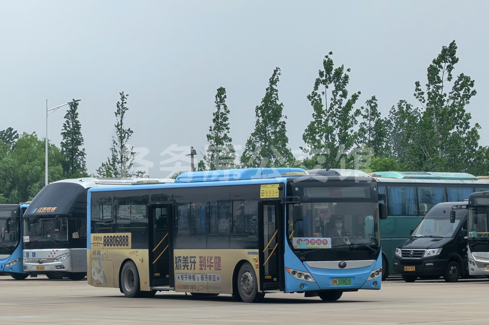 热门图片
