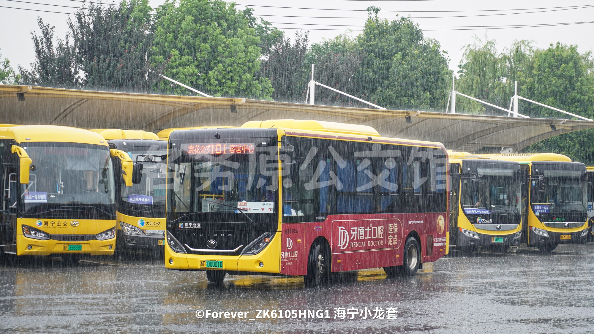 热门图片
