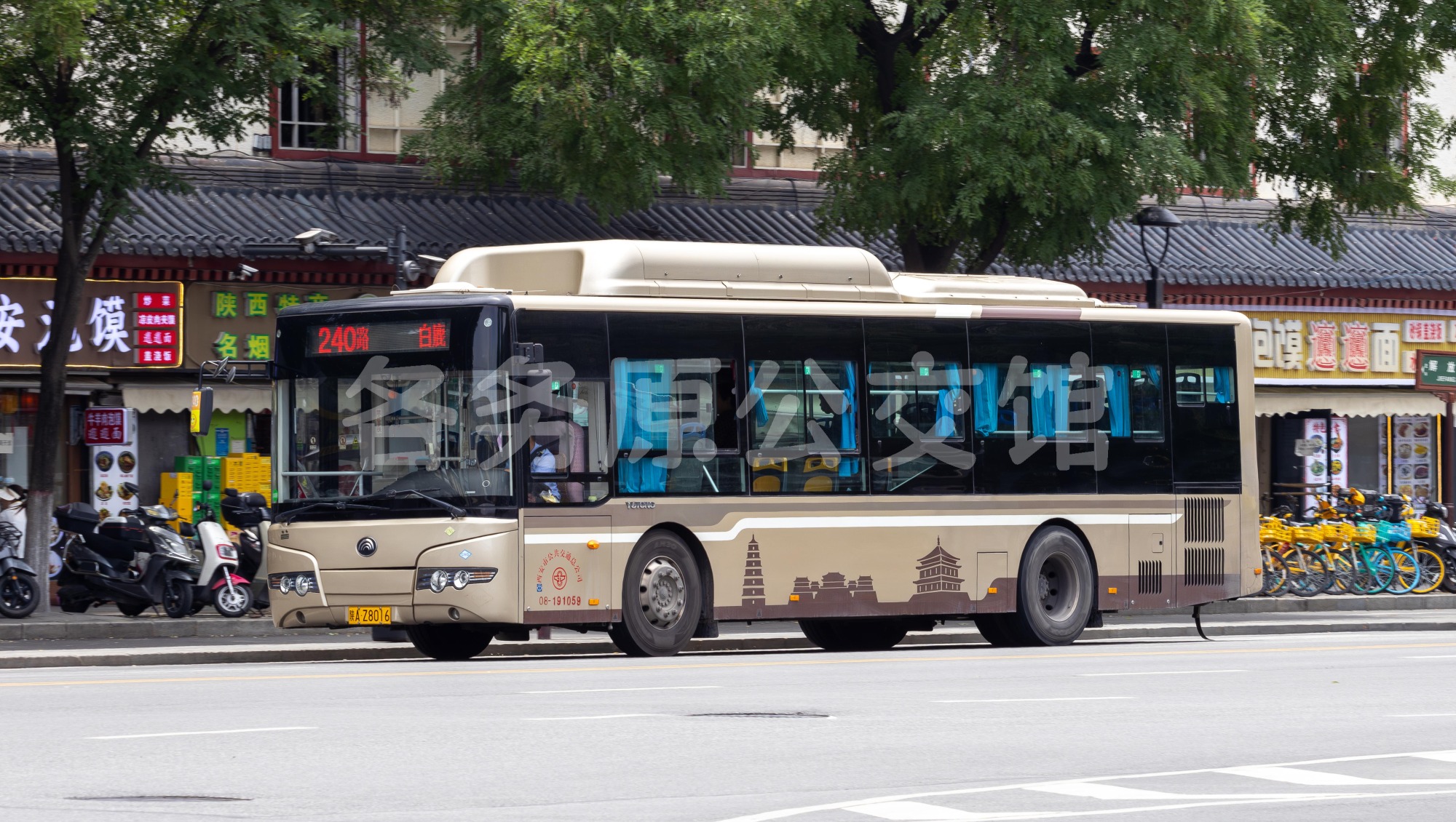 未命名图片