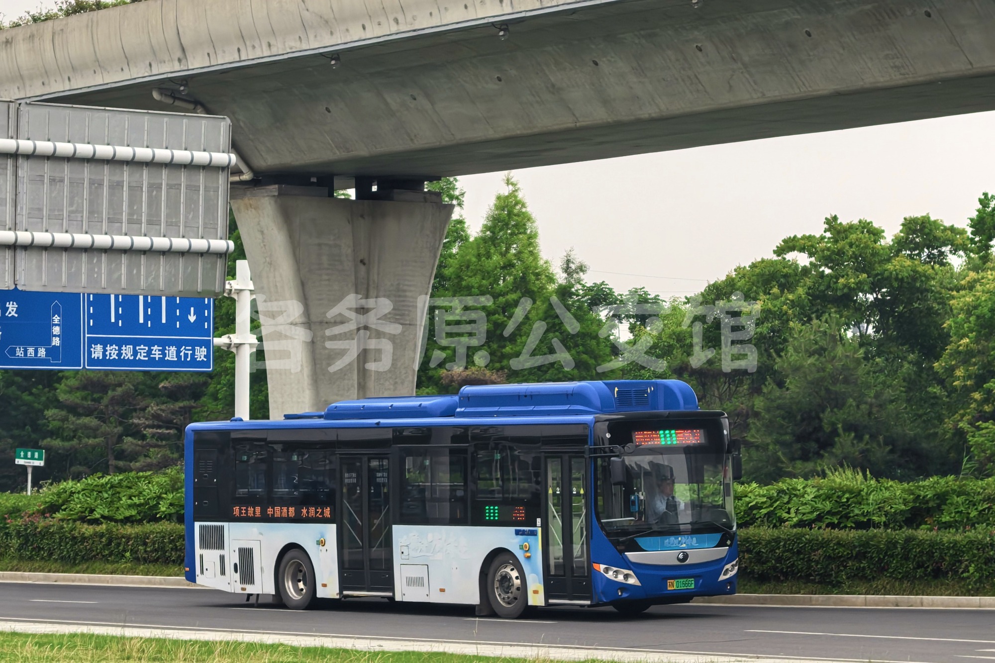 热门图片