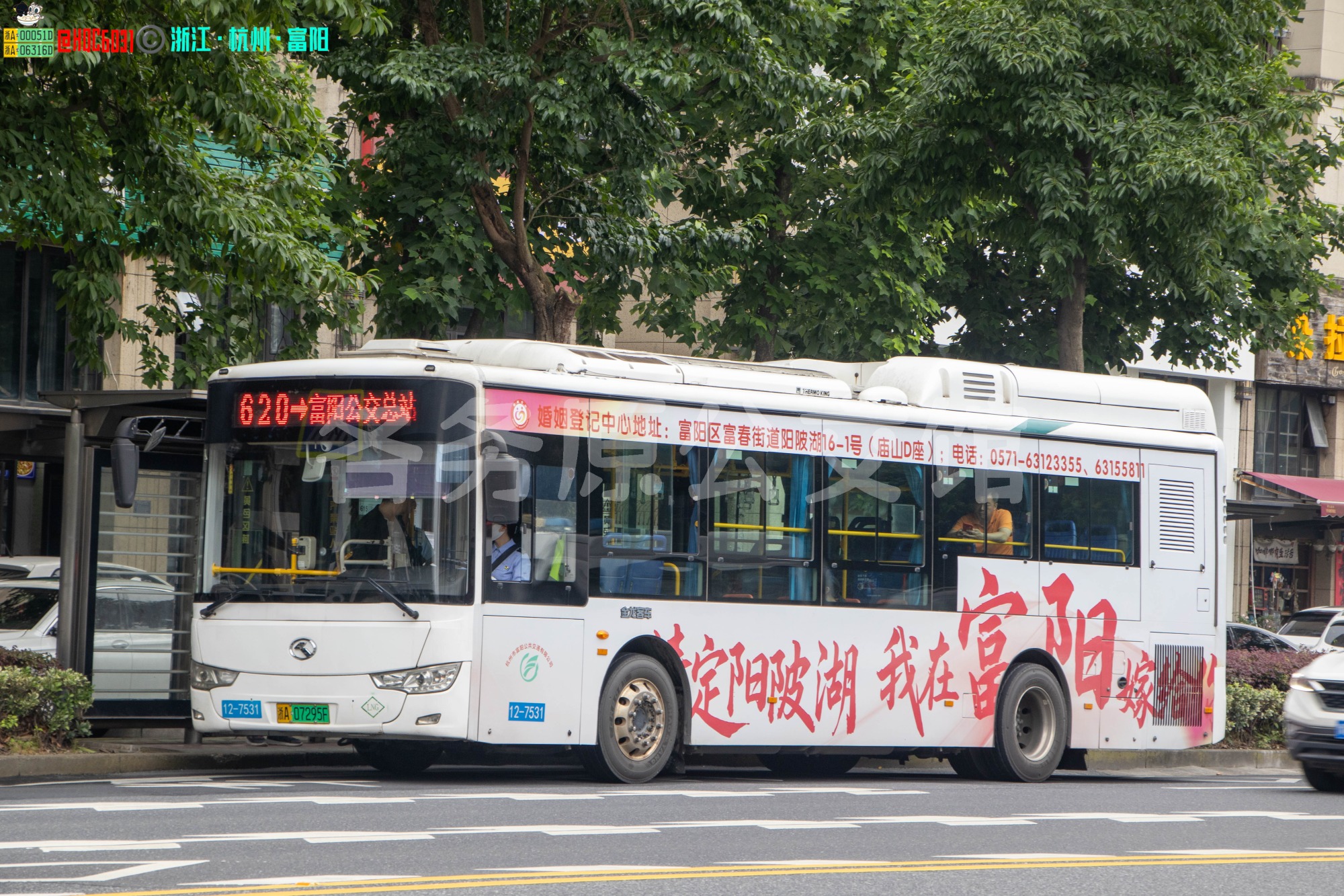未命名图片