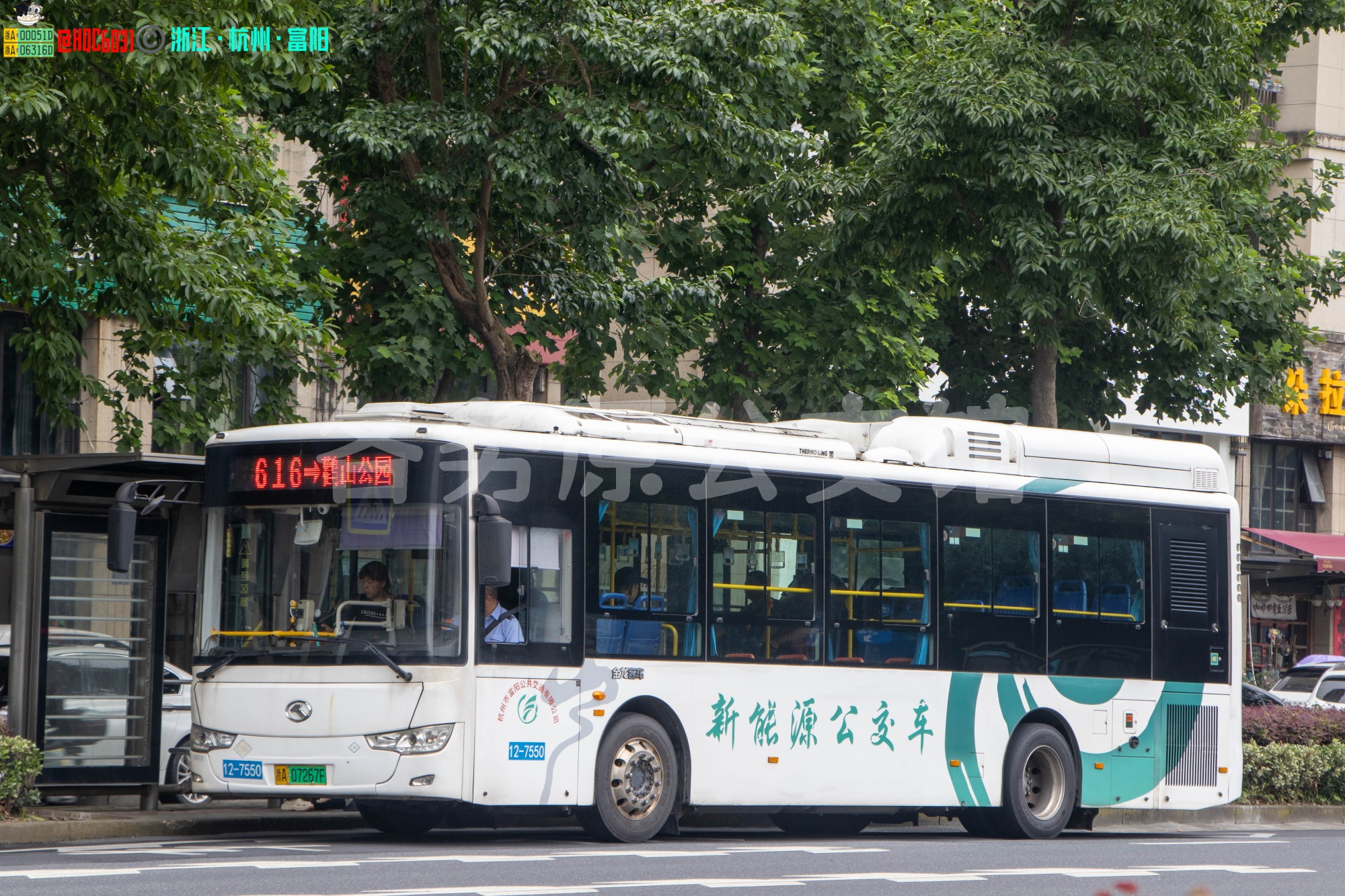 未命名图片