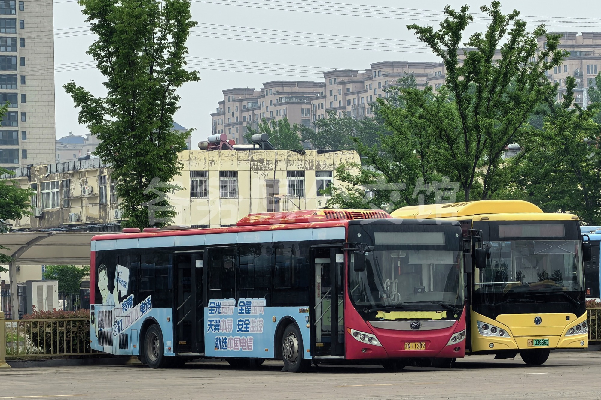ZK6125CHEVNPG21图片