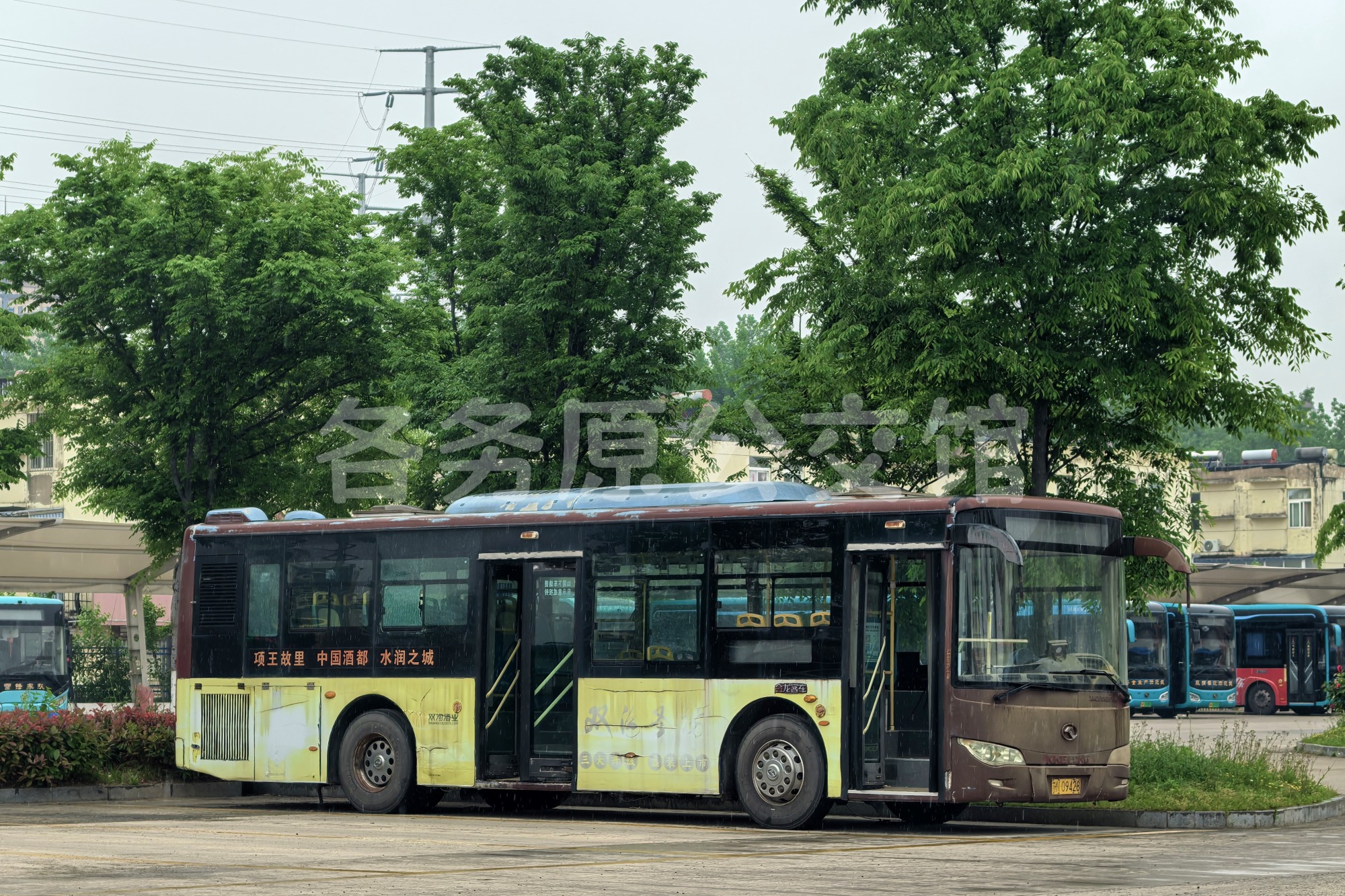 图片