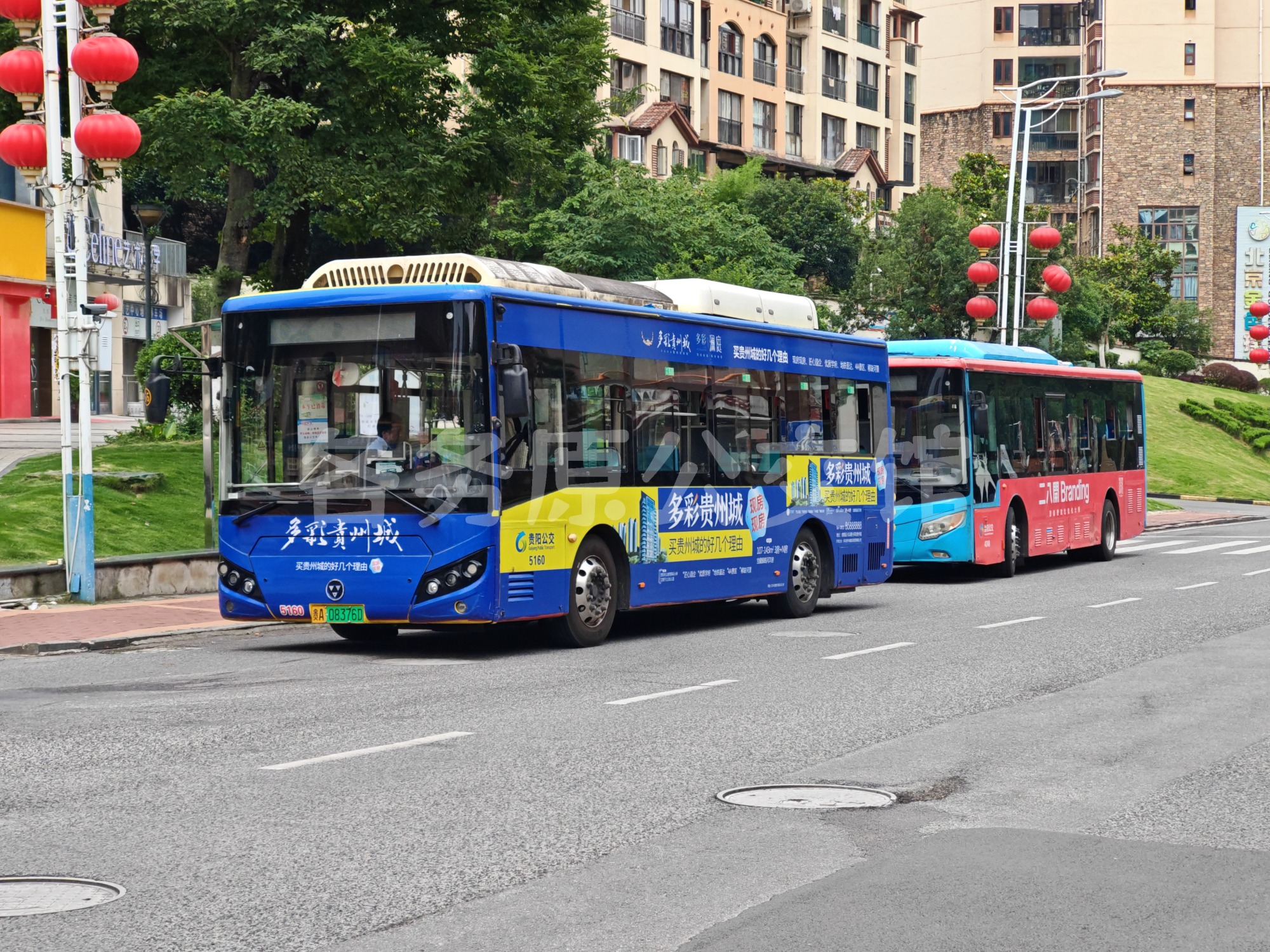 WD6907BEVG01图片