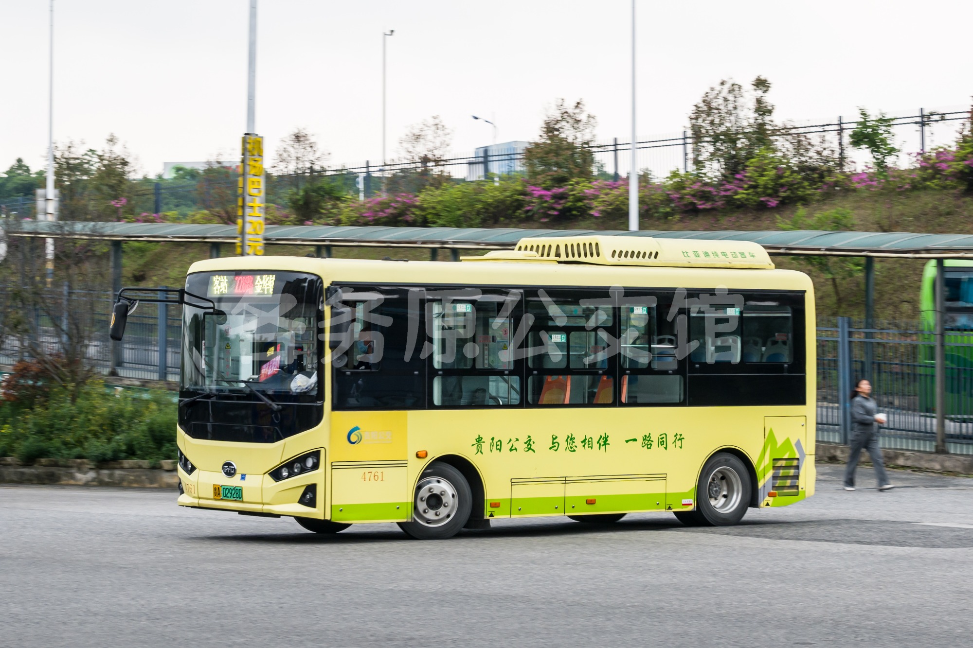 BYD6600B3EV1图片